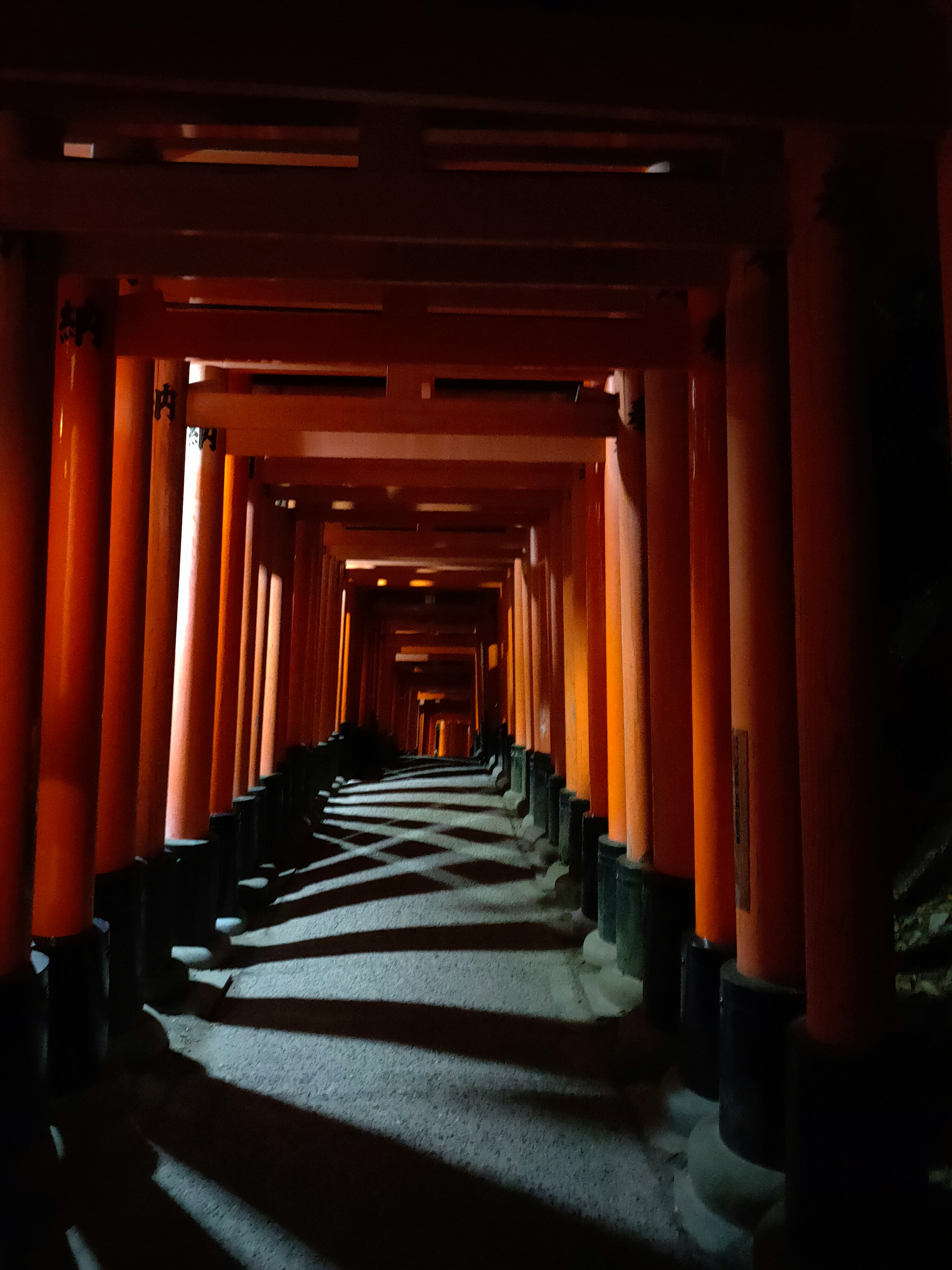 Cảnh nội thất của Fushimi Inari Taisha với cổng torii màu cam tạo hiệu ứng đường hầm