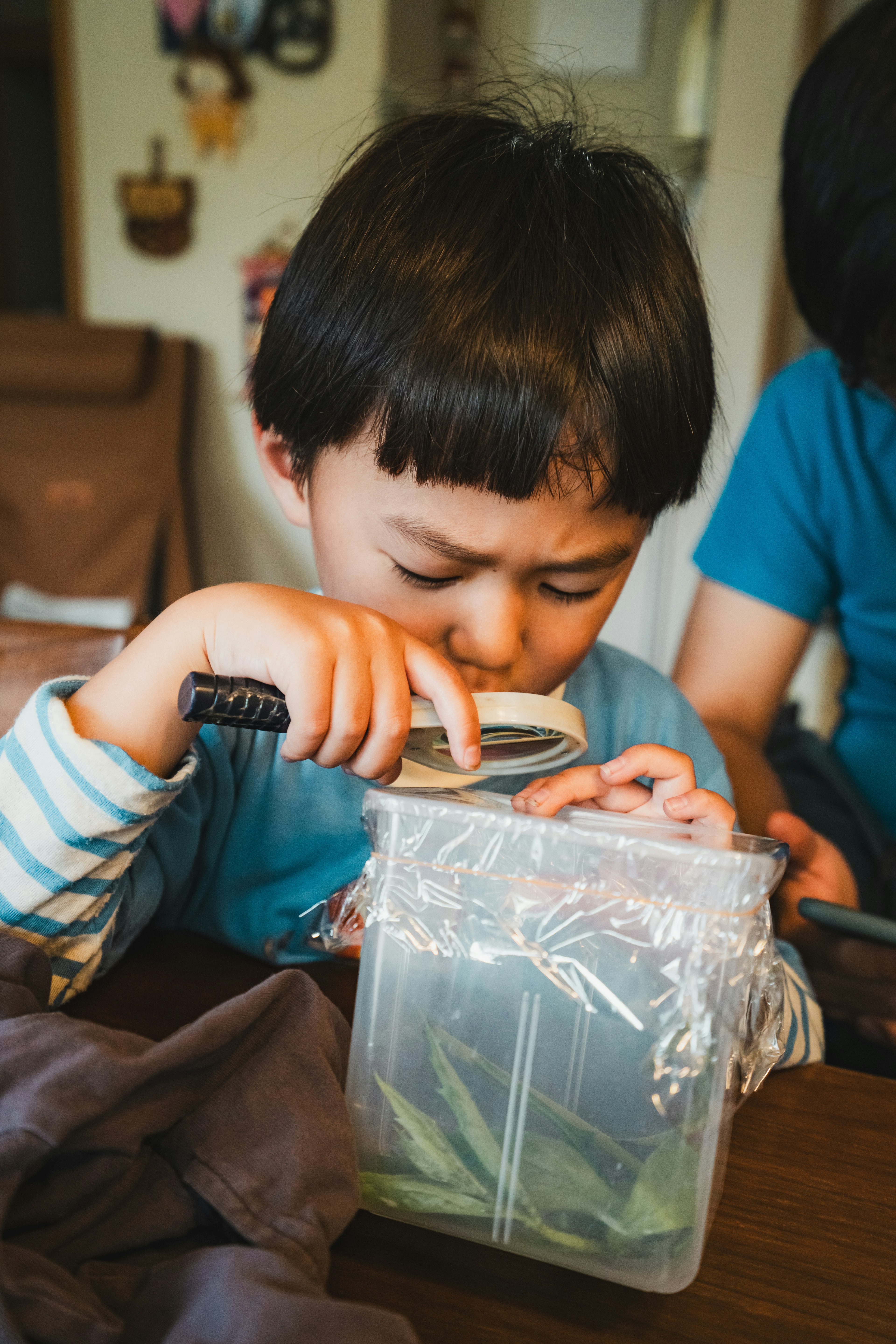 子供が透明な容器をじっと見つめている様子 彼は青いストライプのシャツを着ている