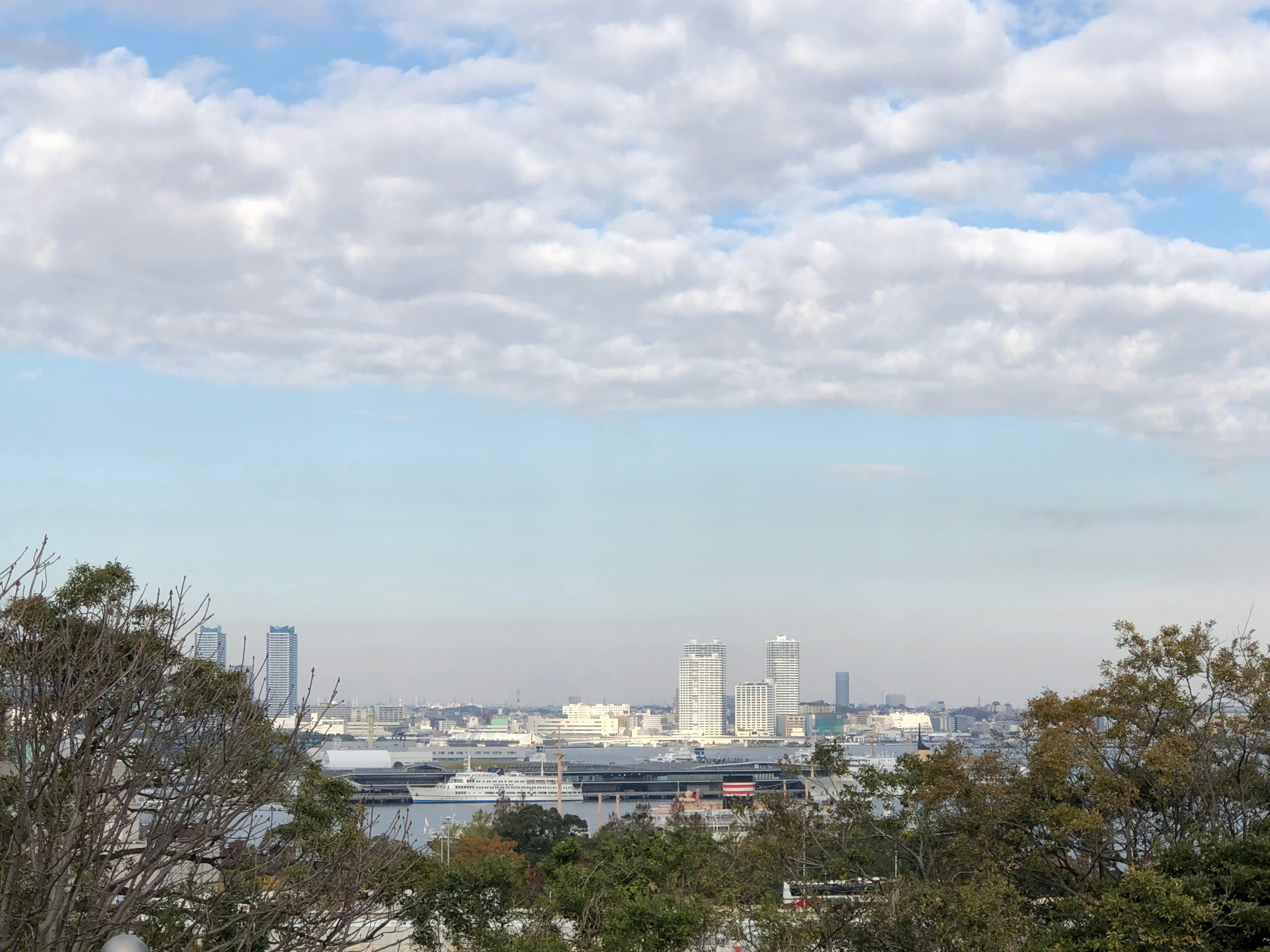 Pemandangan kota dengan gedung pencakar langit Tokyo di bawah langit mendung