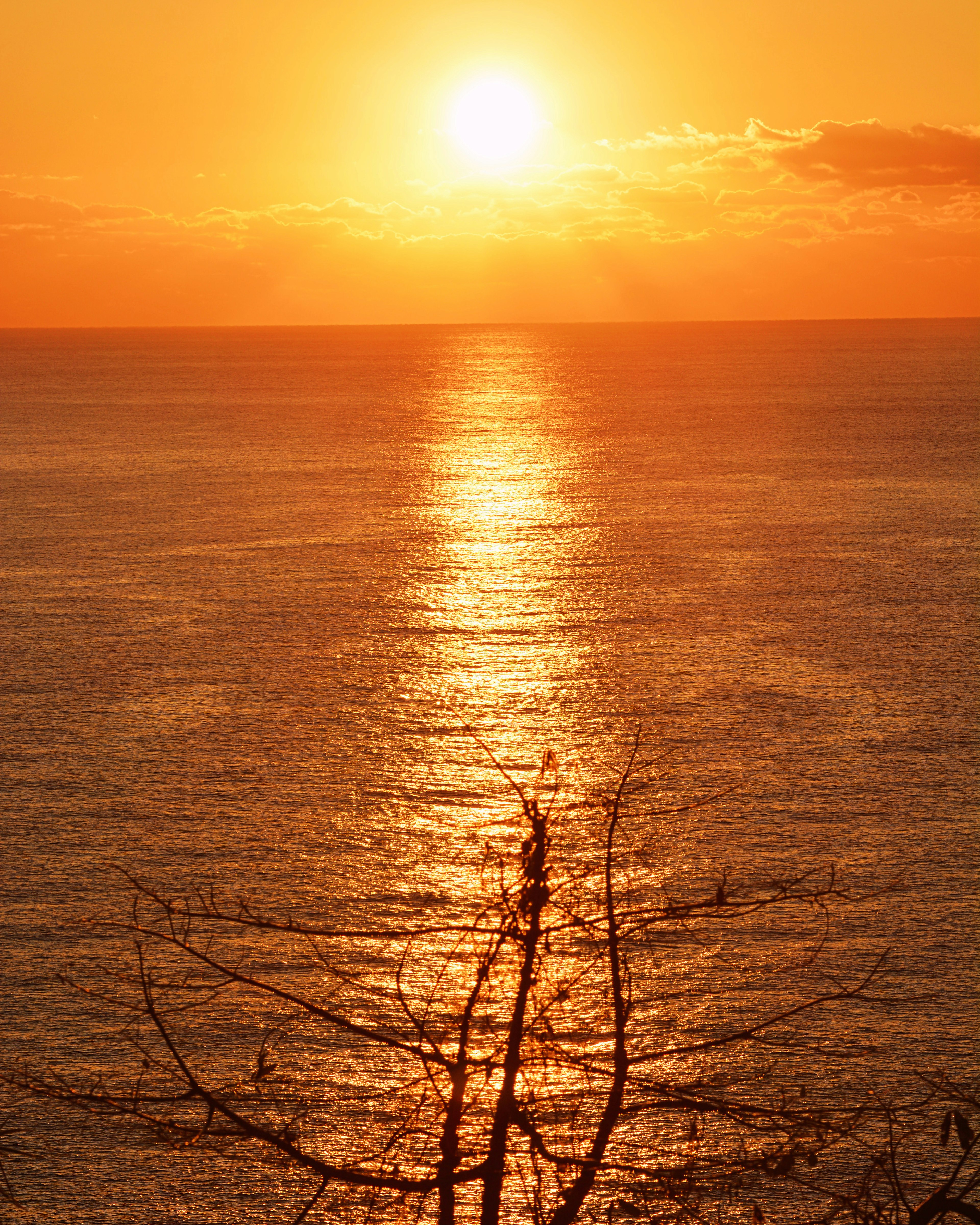 美しいオレンジ色の夕日が海に沈みかけている景色