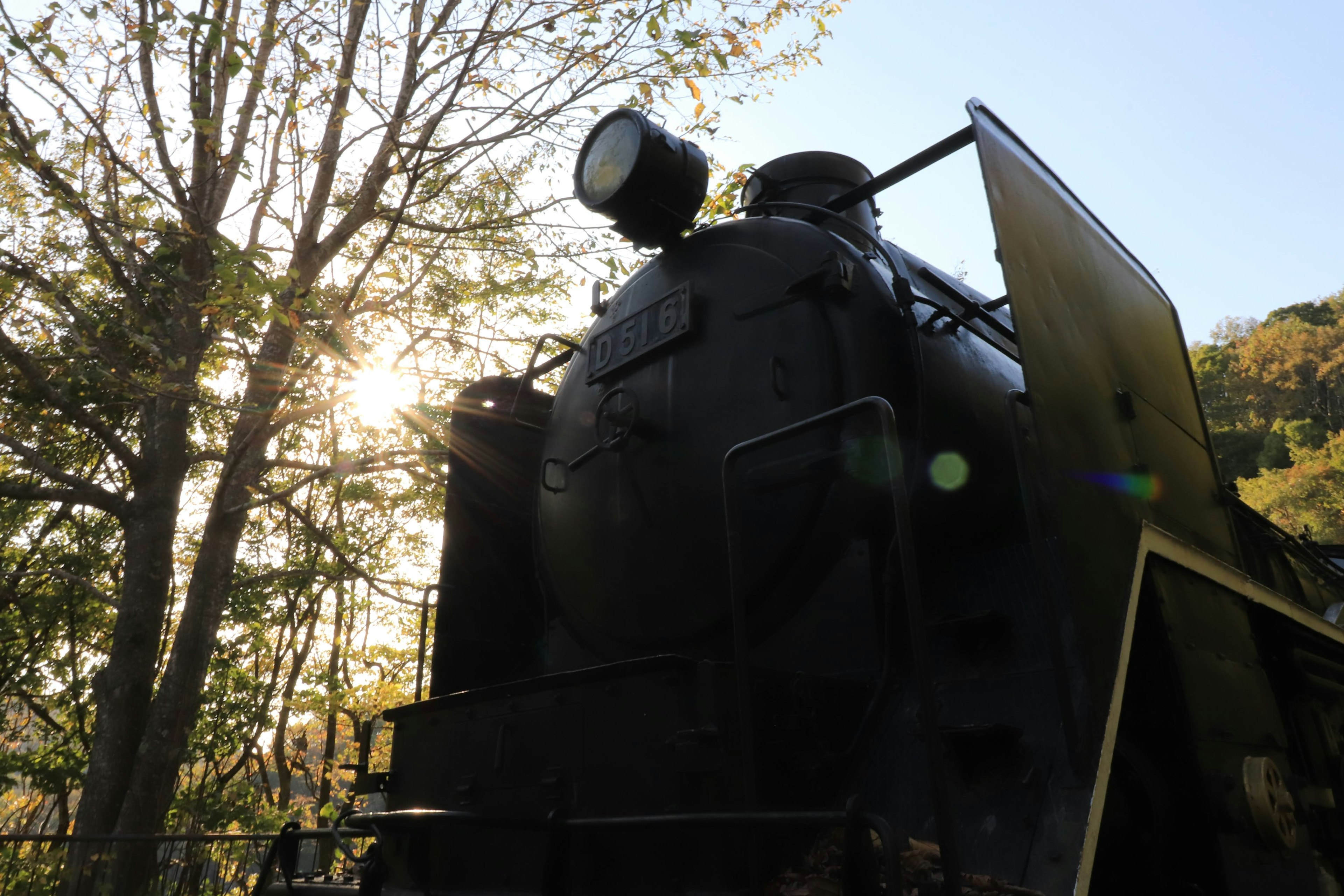 Side view of a steam locomotive with sunlight filtering through trees