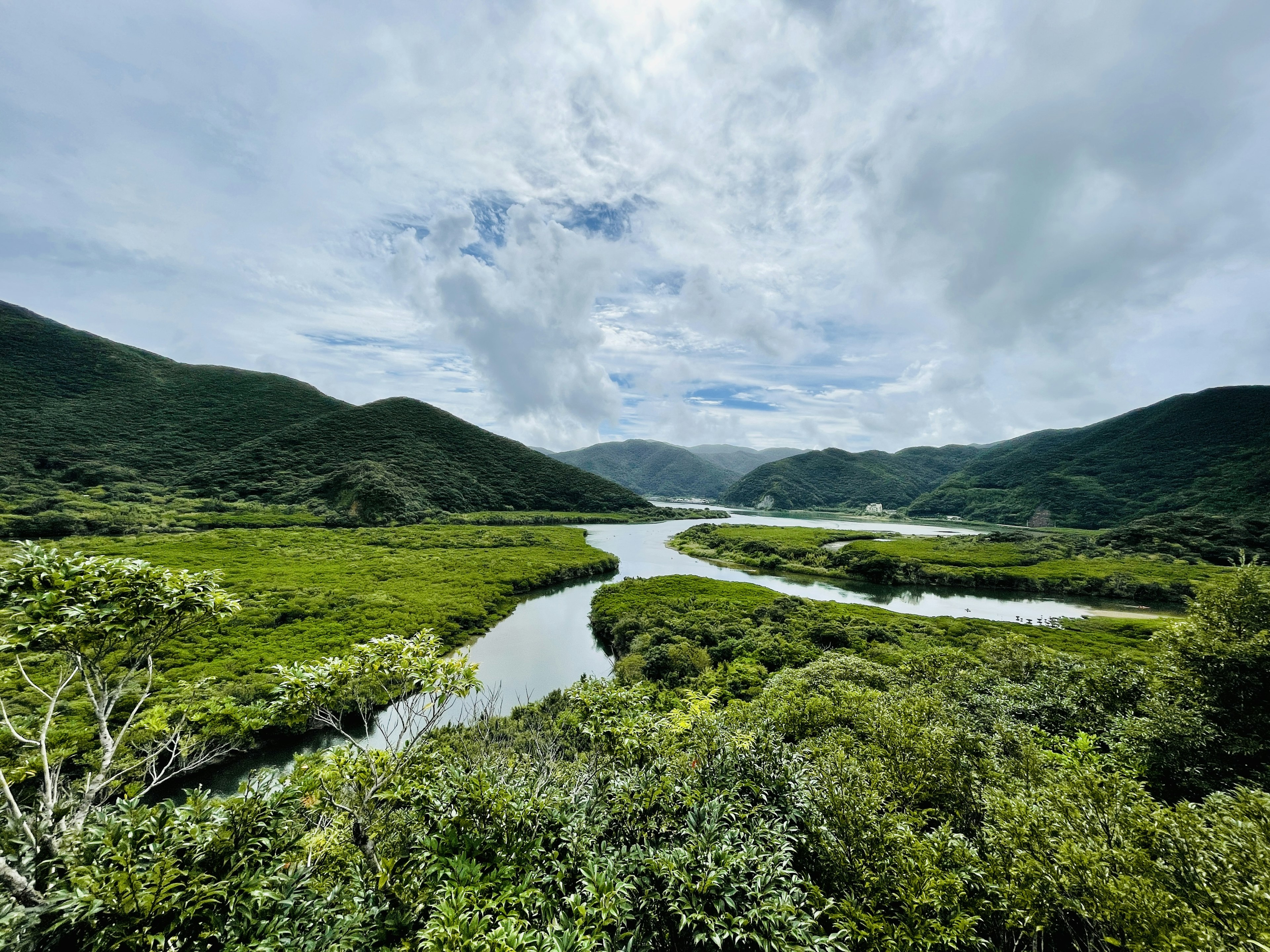 Üppige grüne Landschaft mit einem gewundenen Fluss und Bergen