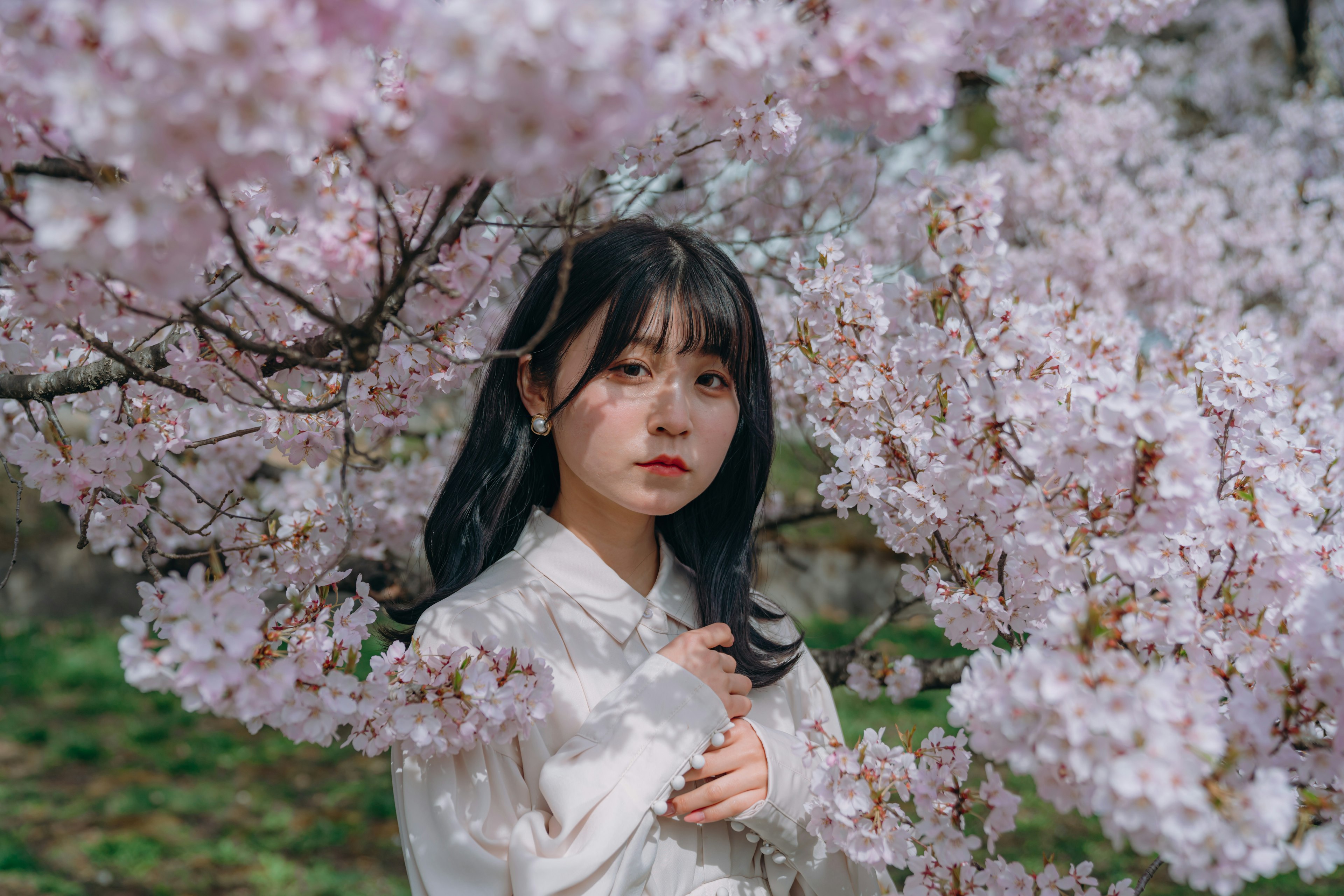 A woman in a white outfit standing under cherry blossom trees