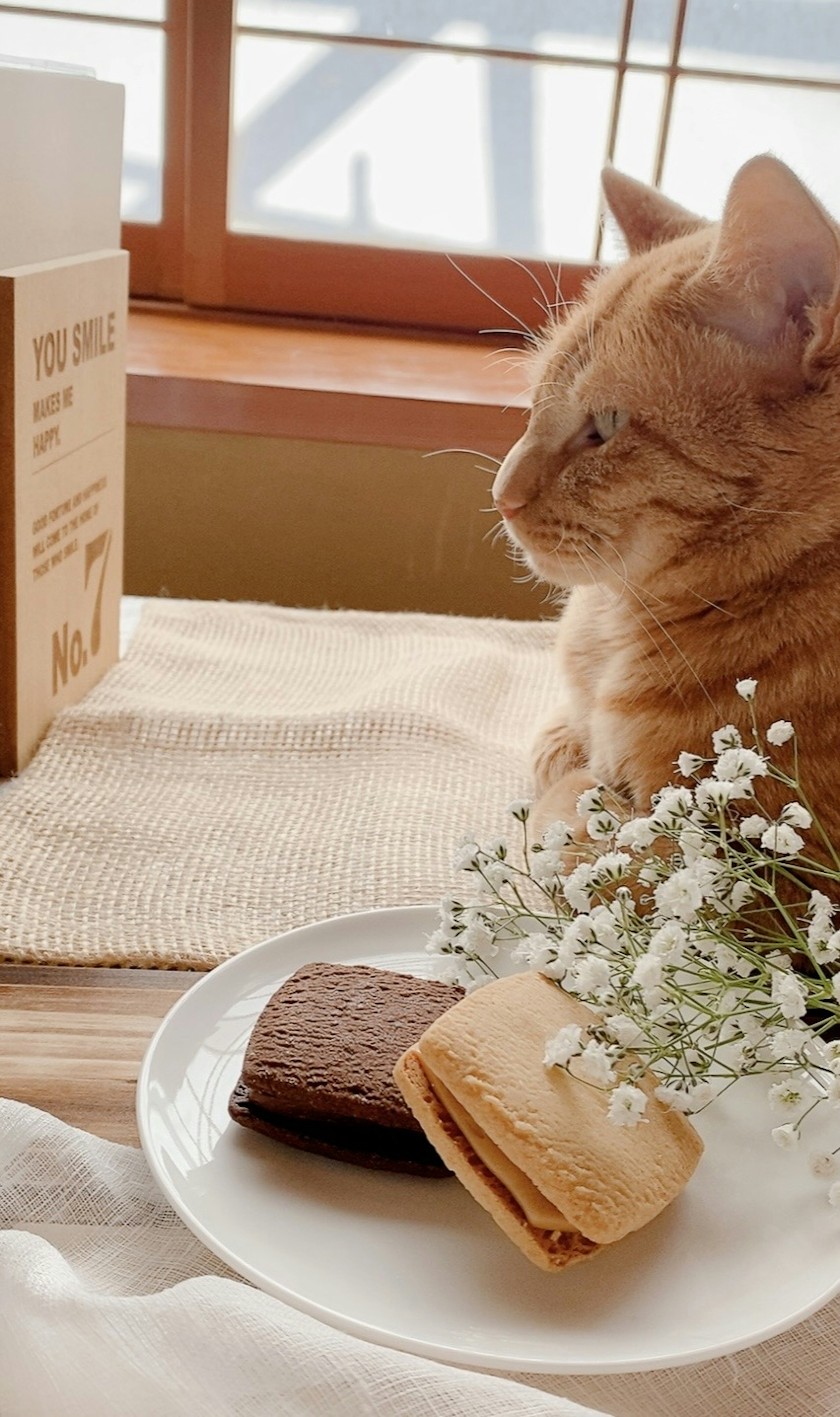 An orange cat sitting near sweets and flowers by a window