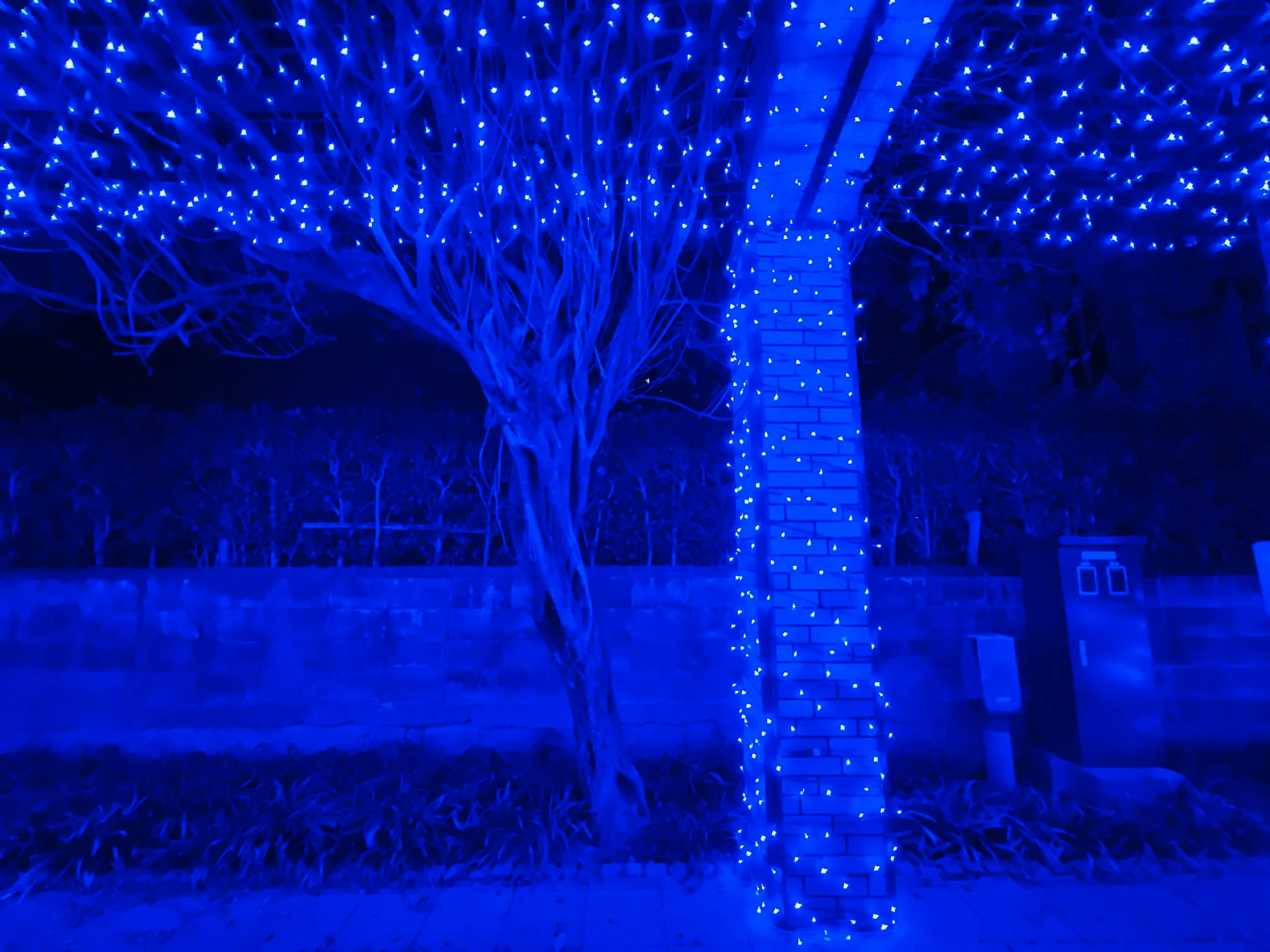 Árbol decorado con luces azules contra un fondo oscuro