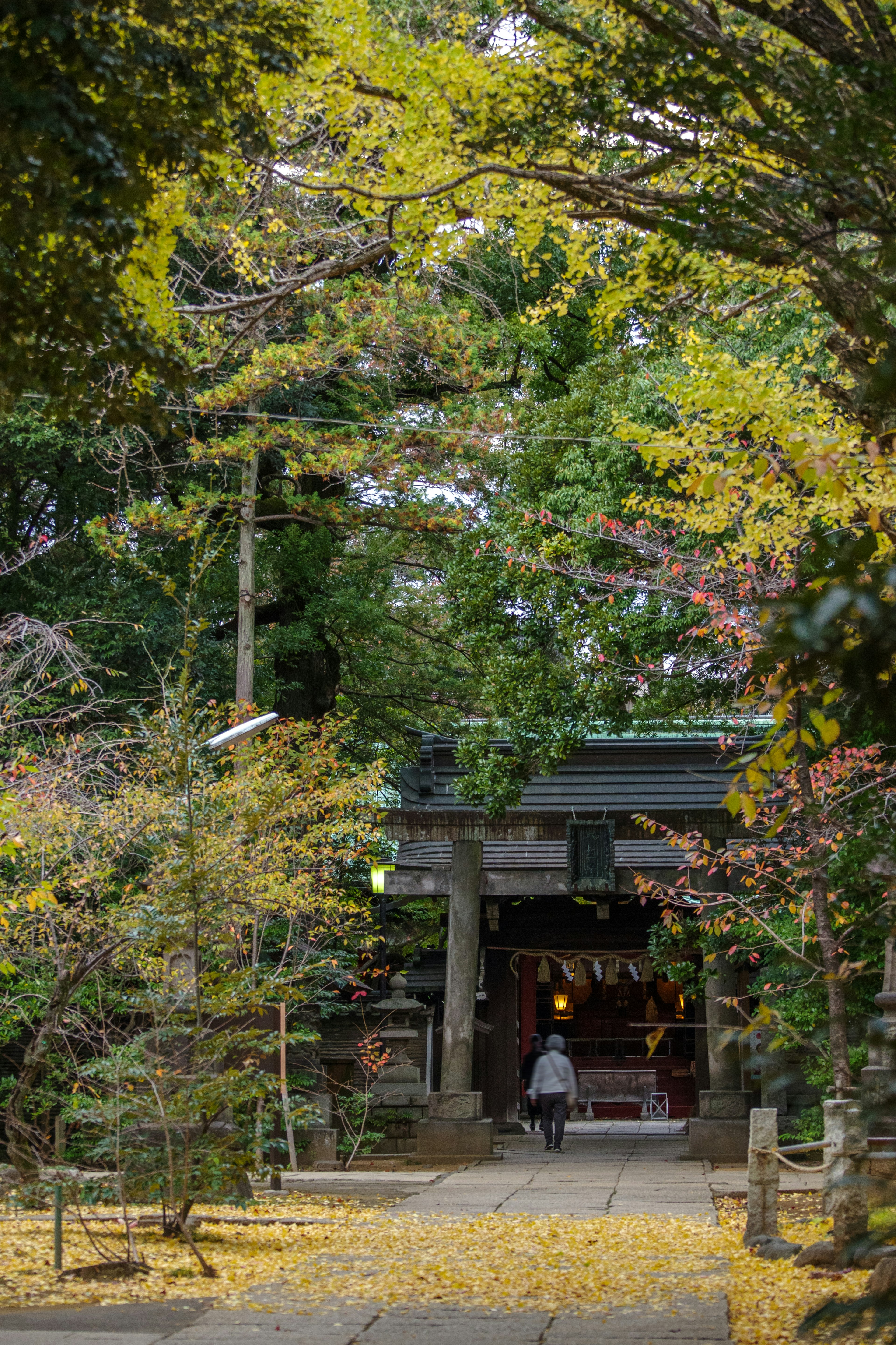 Person walking towards a shrine entrance surrounded by autumn foliage