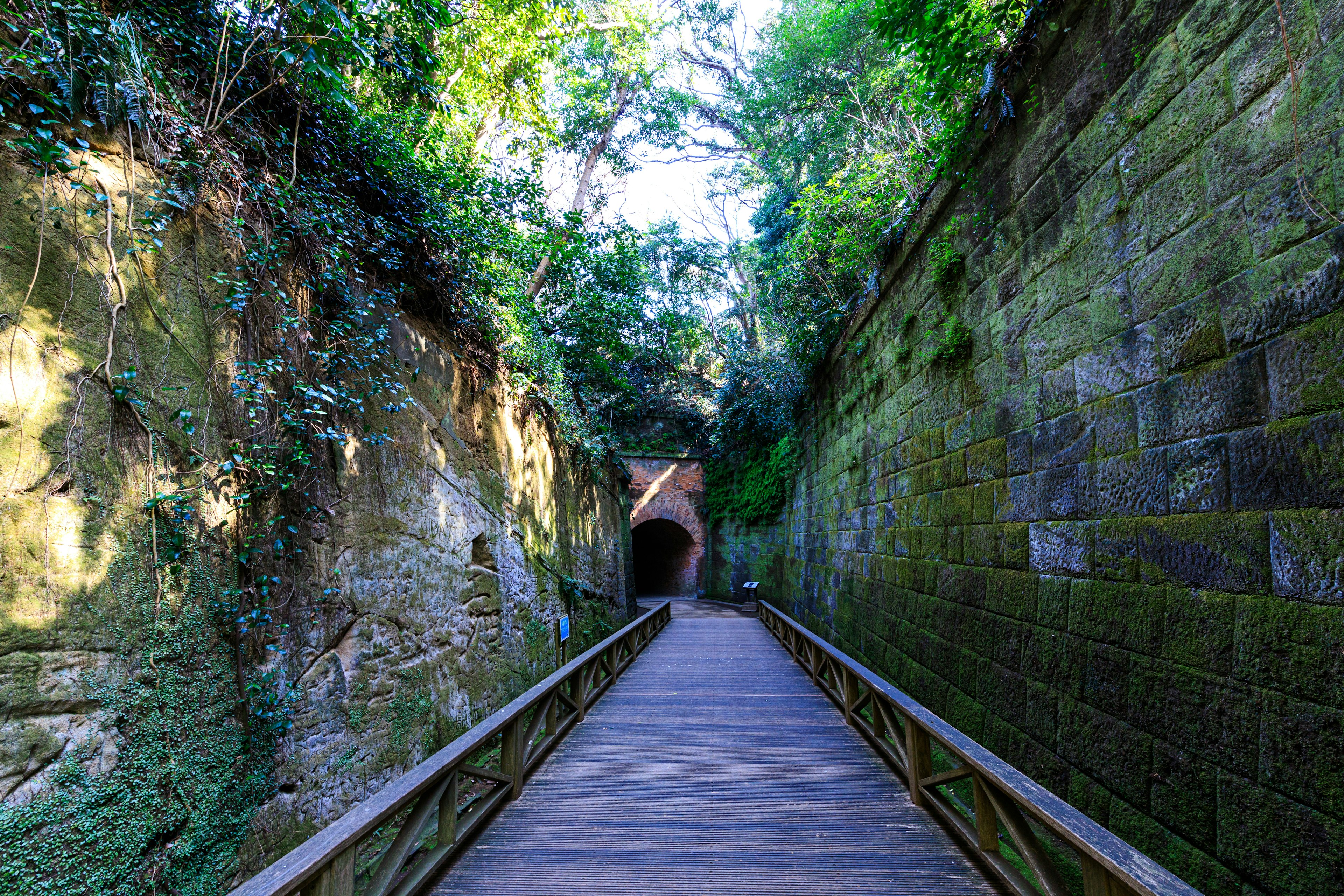 Wooden pathway leading through stone walls surrounded by greenery