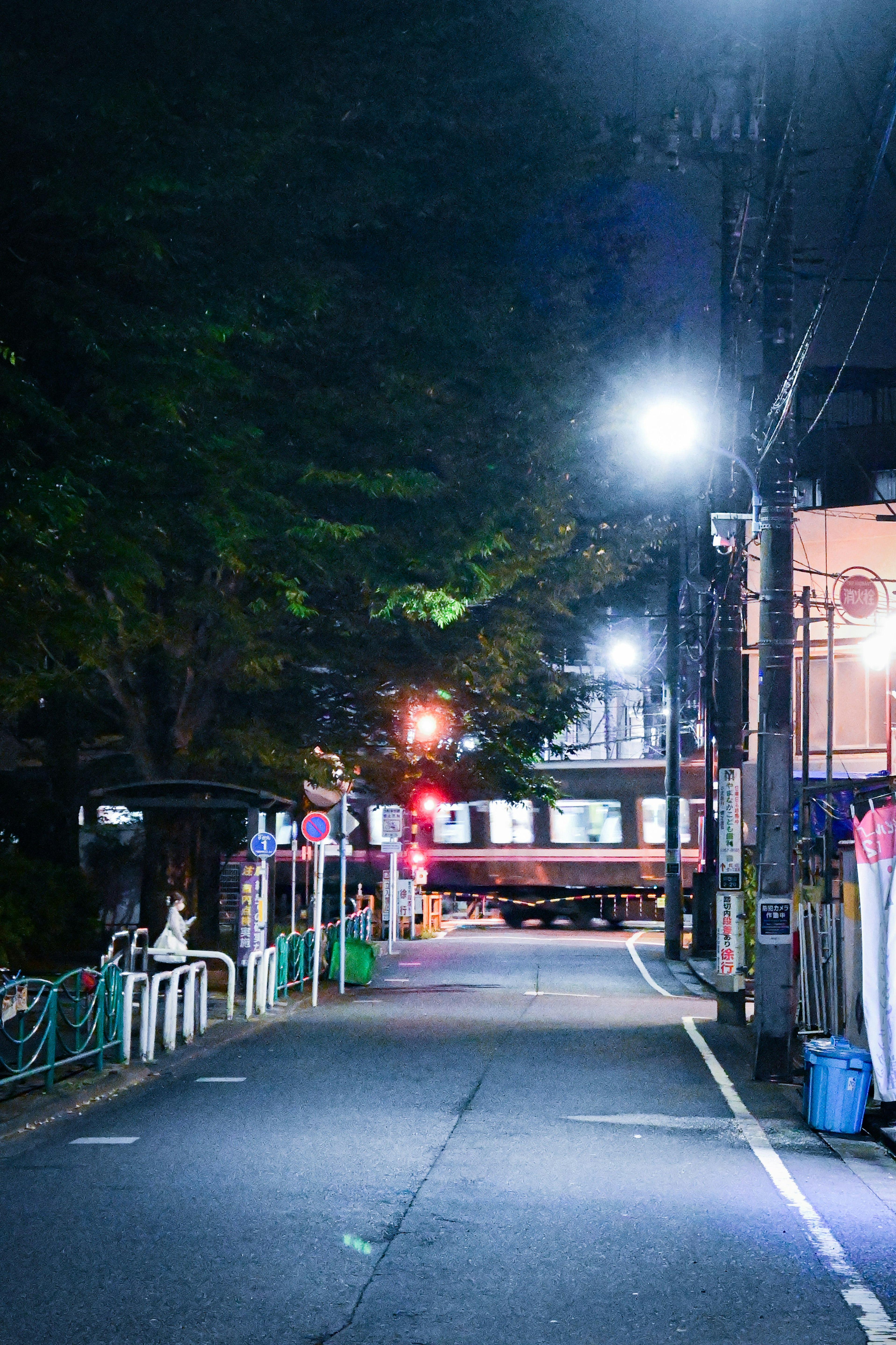 Escena nocturna con farolas y árboles