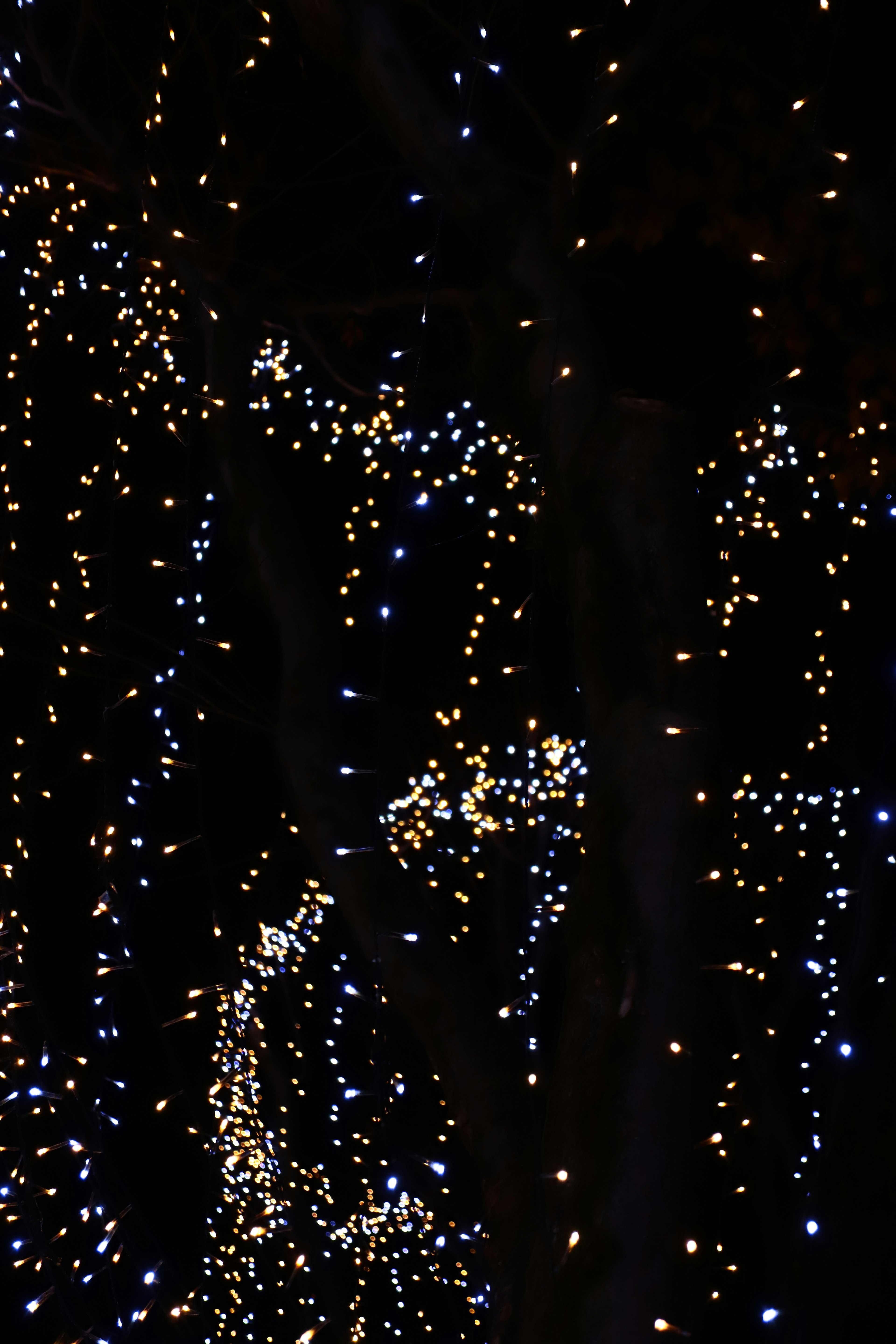 Points de lumière blancs et jaunes éparpillés sur un fond sombre