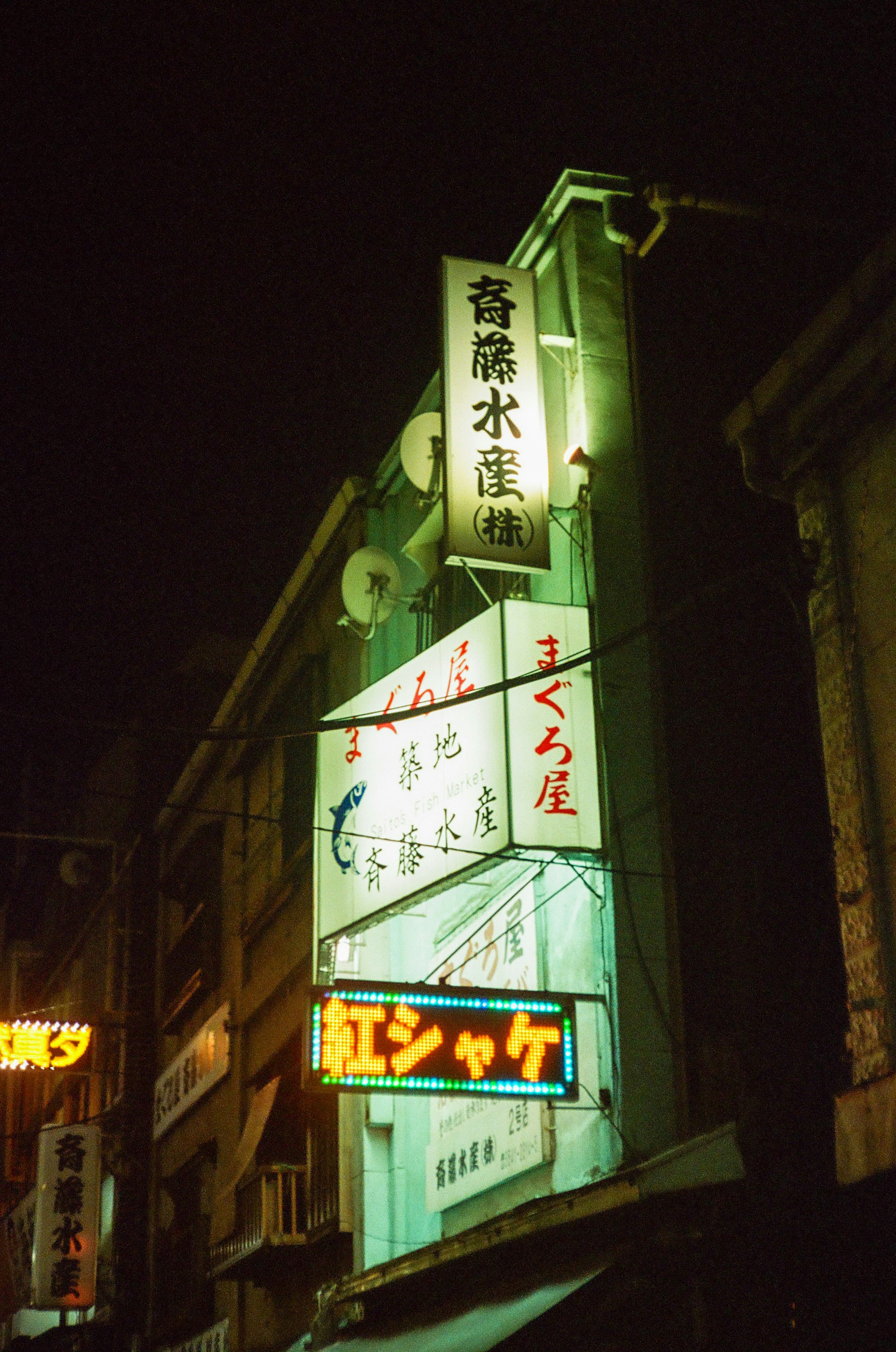 夜间城市环境中日本餐厅的亮灯招牌