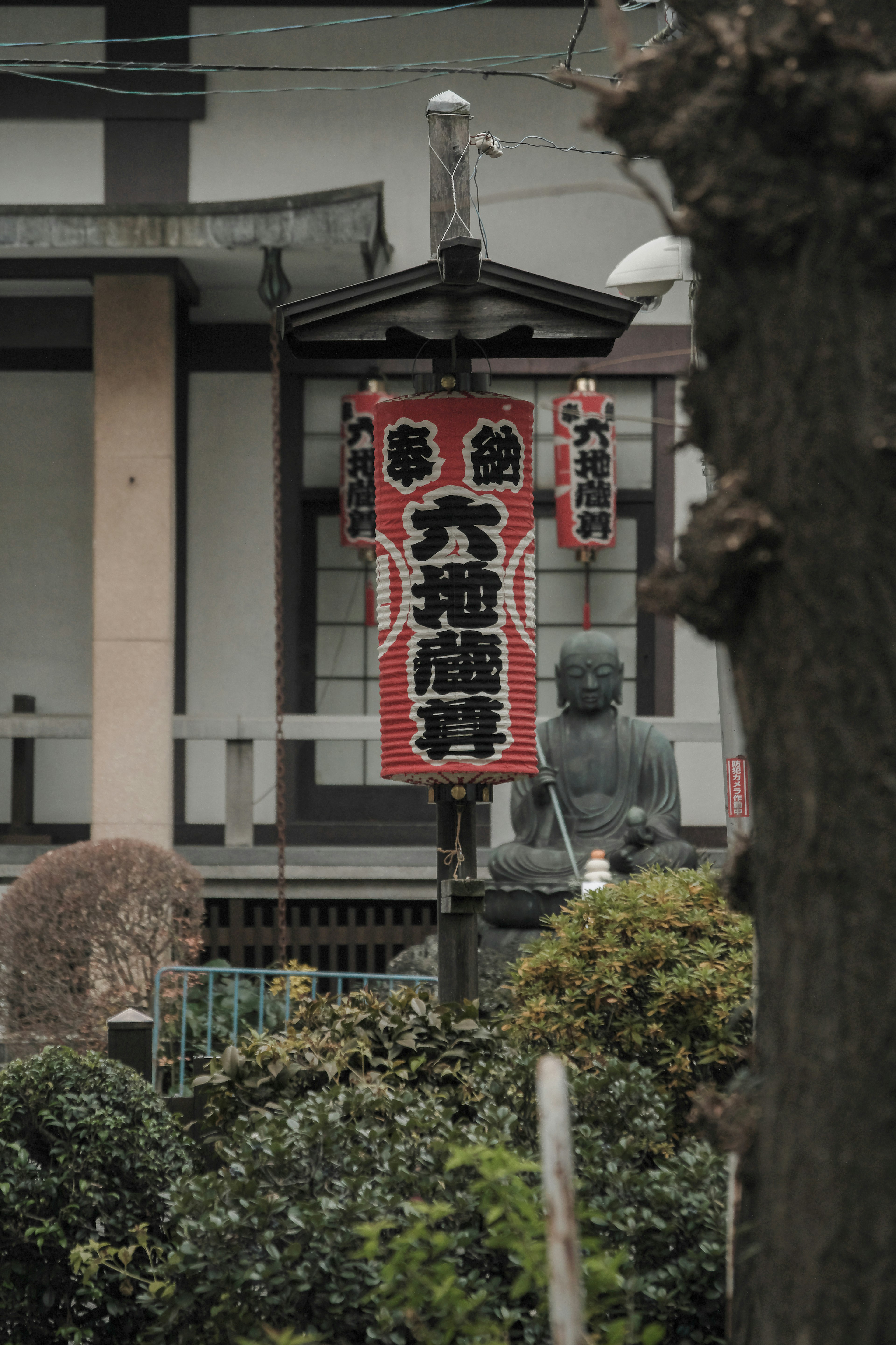 日本寺庙场景，特色红色标志和郁郁葱葱的绿意