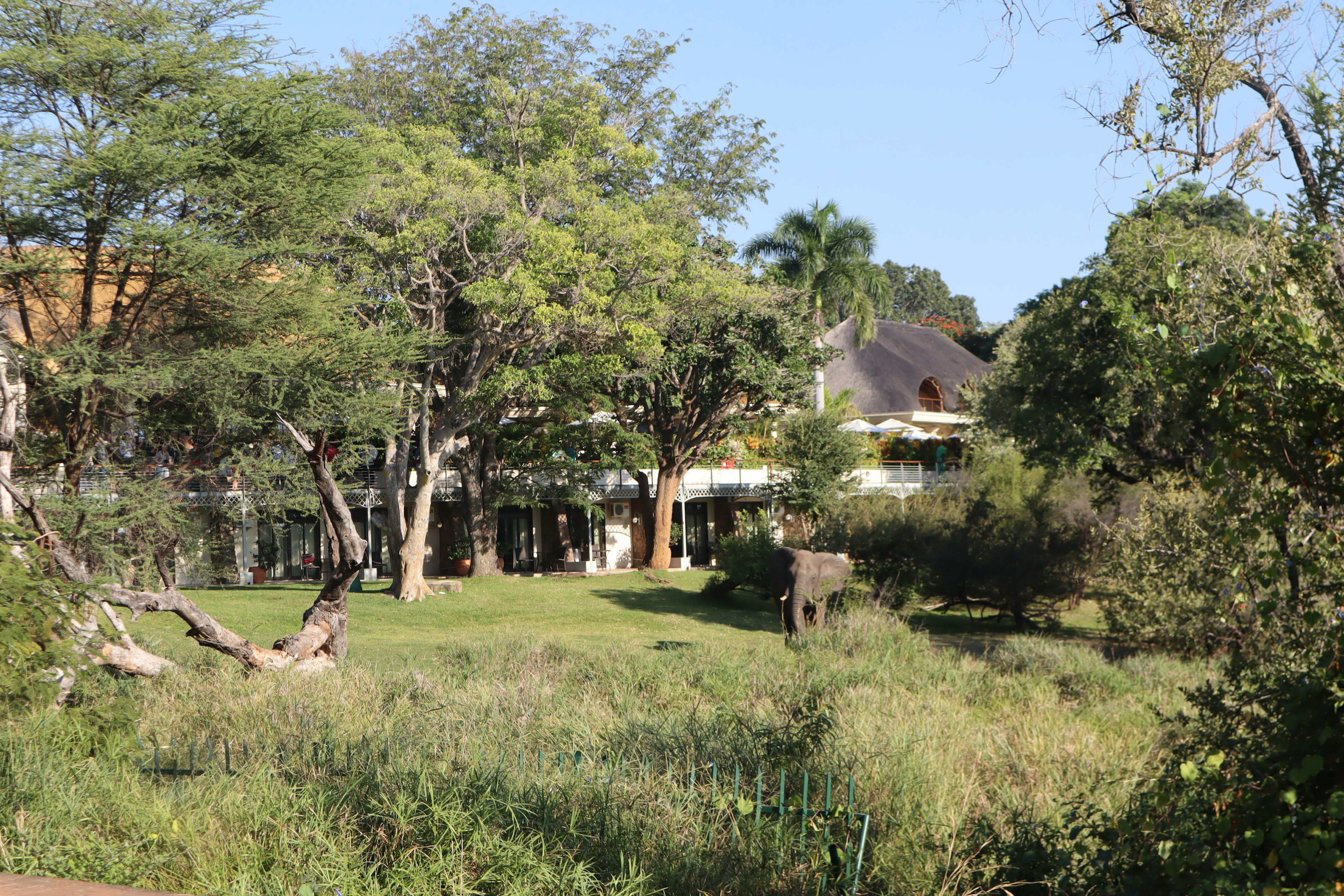 Scenic view of a beautiful house surrounded by lush greenery