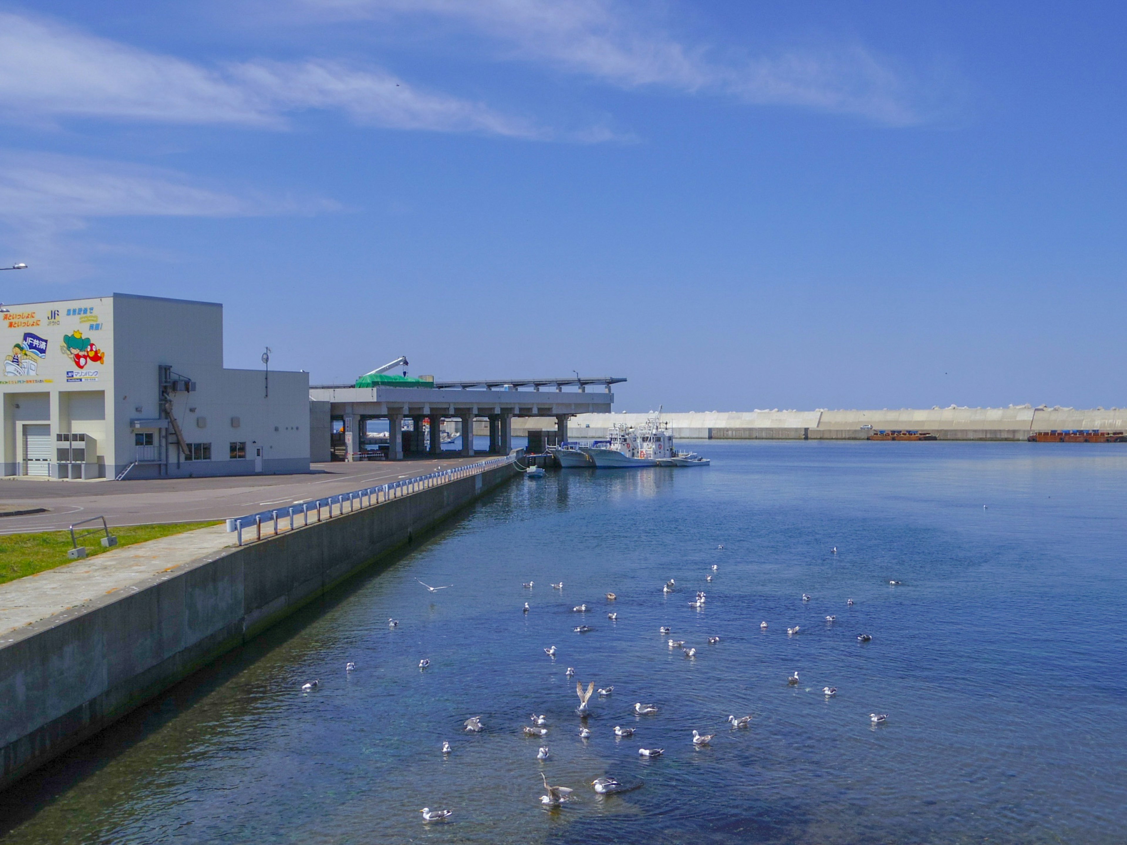 Malersicher Hafenblick mit blauem Himmel und weißen Vögeln auf dem Wasser