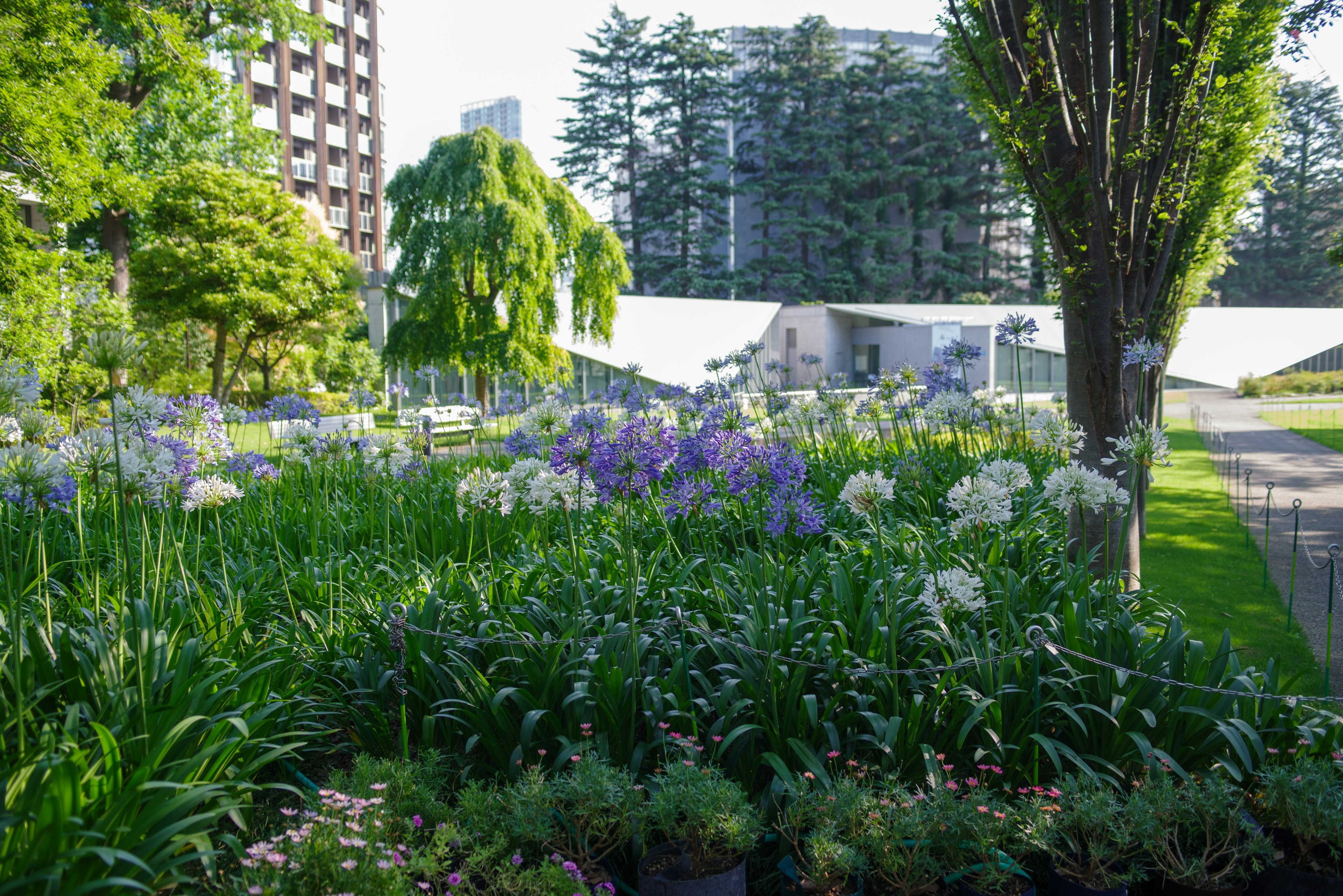 Parc luxuriant avec des fleurs colorées et de grands arbres