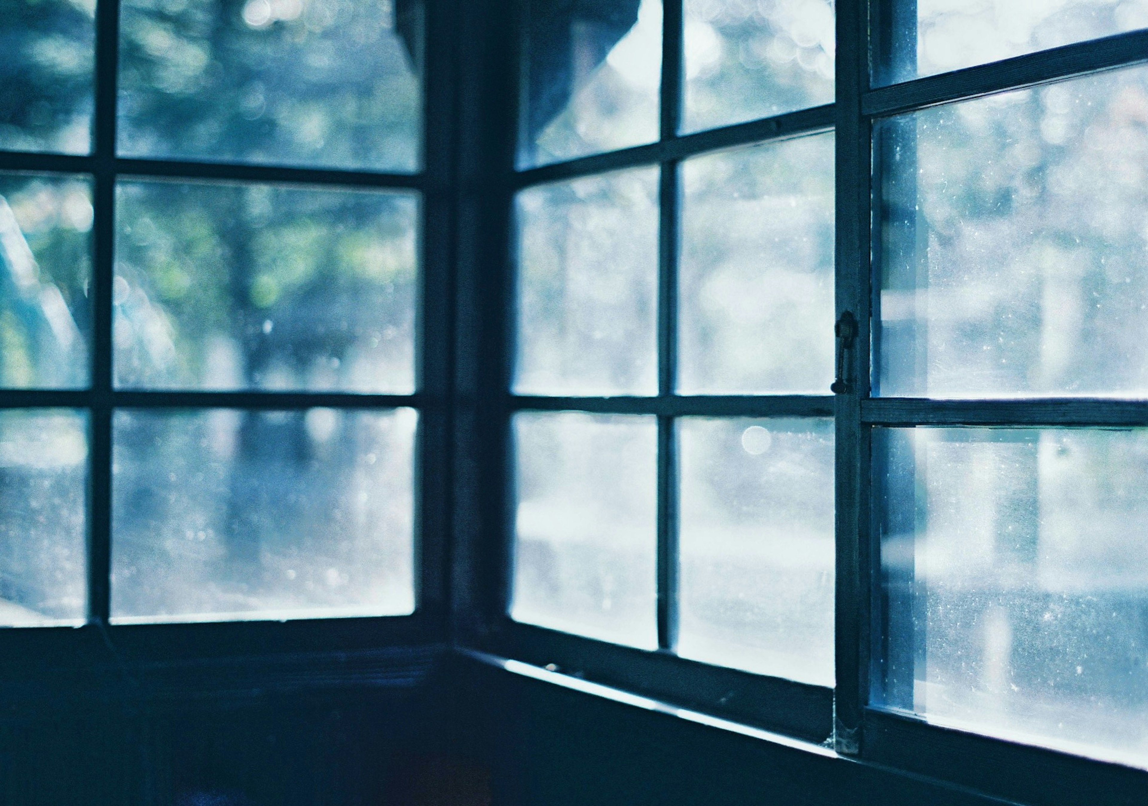 Blick aus einem Fenster mit blauer Tönung, das beschlagenes Glas und Bäume draußen zeigt