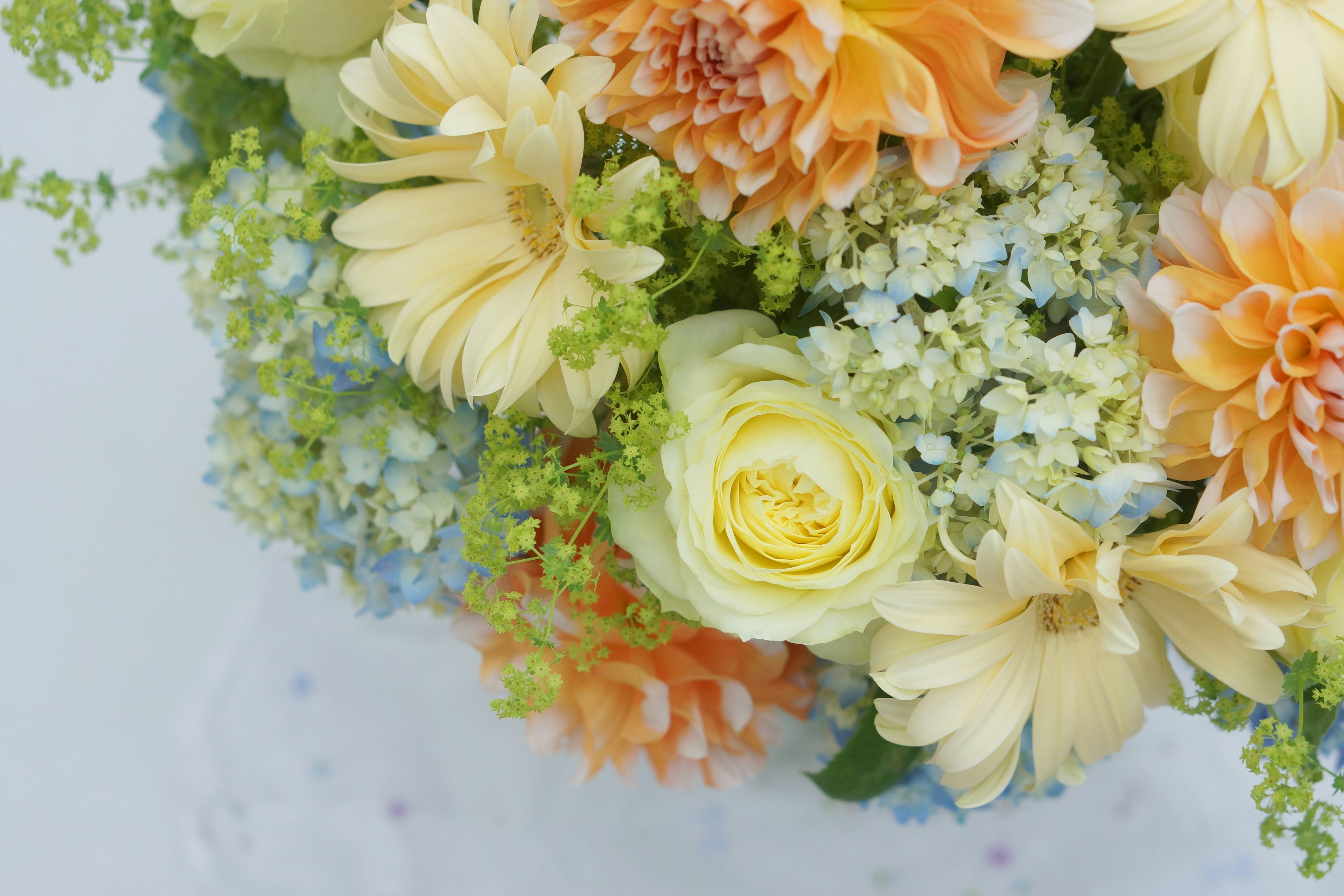 A beautiful bouquet of colorful flowers