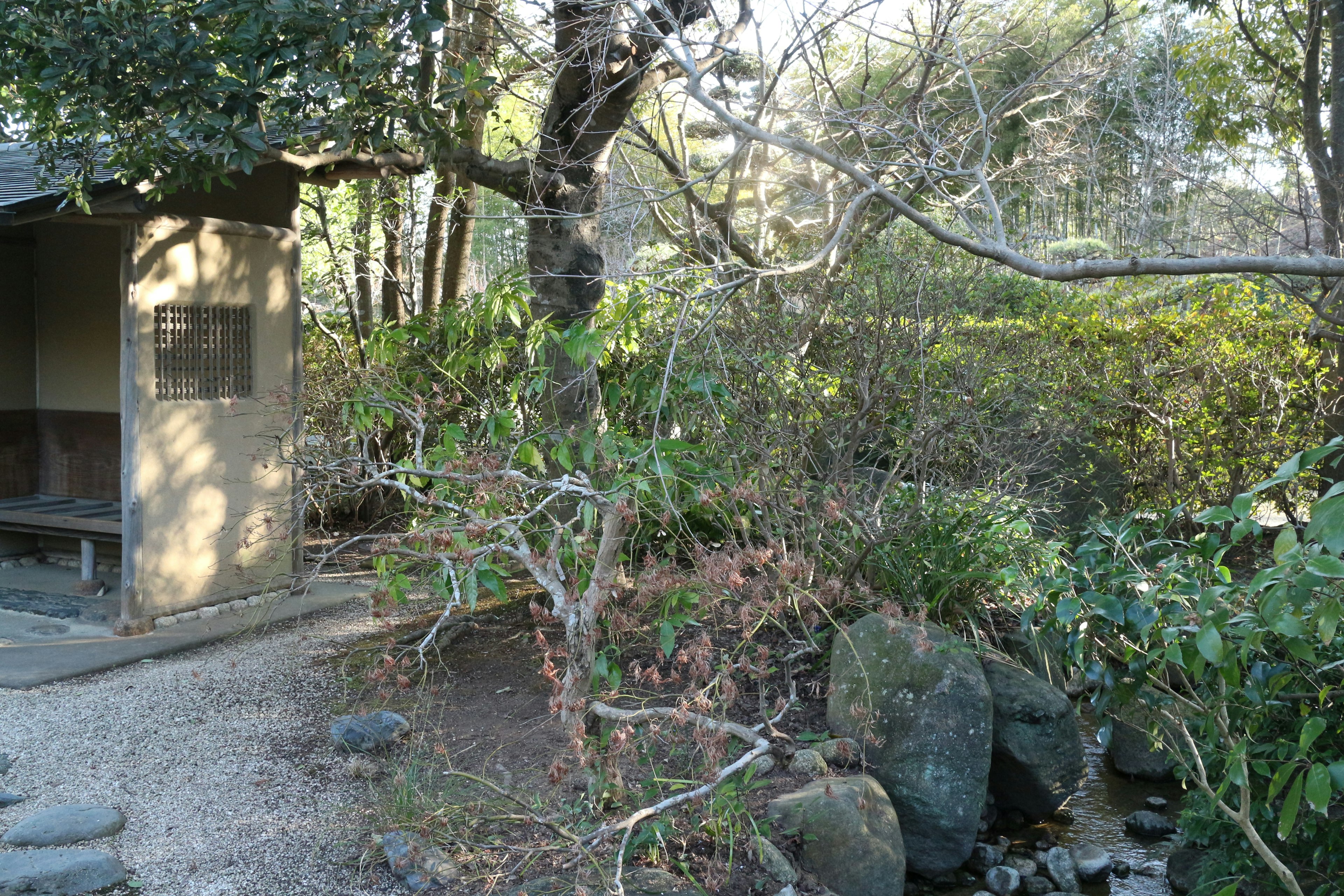 静かな庭園の小屋と緑の植物がある風景