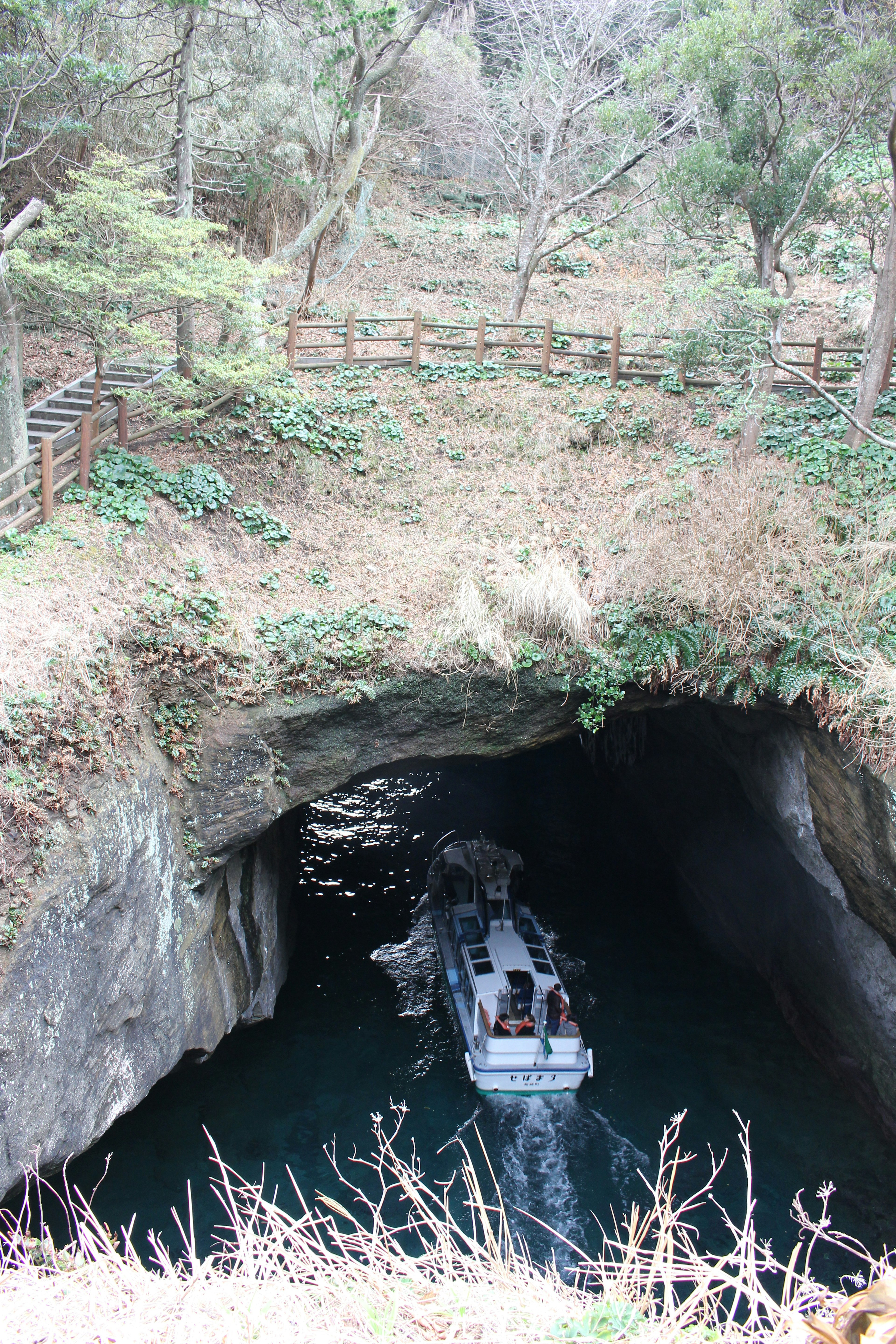 Boot fährt in eine Höhle mit üppigem Grün drumherum