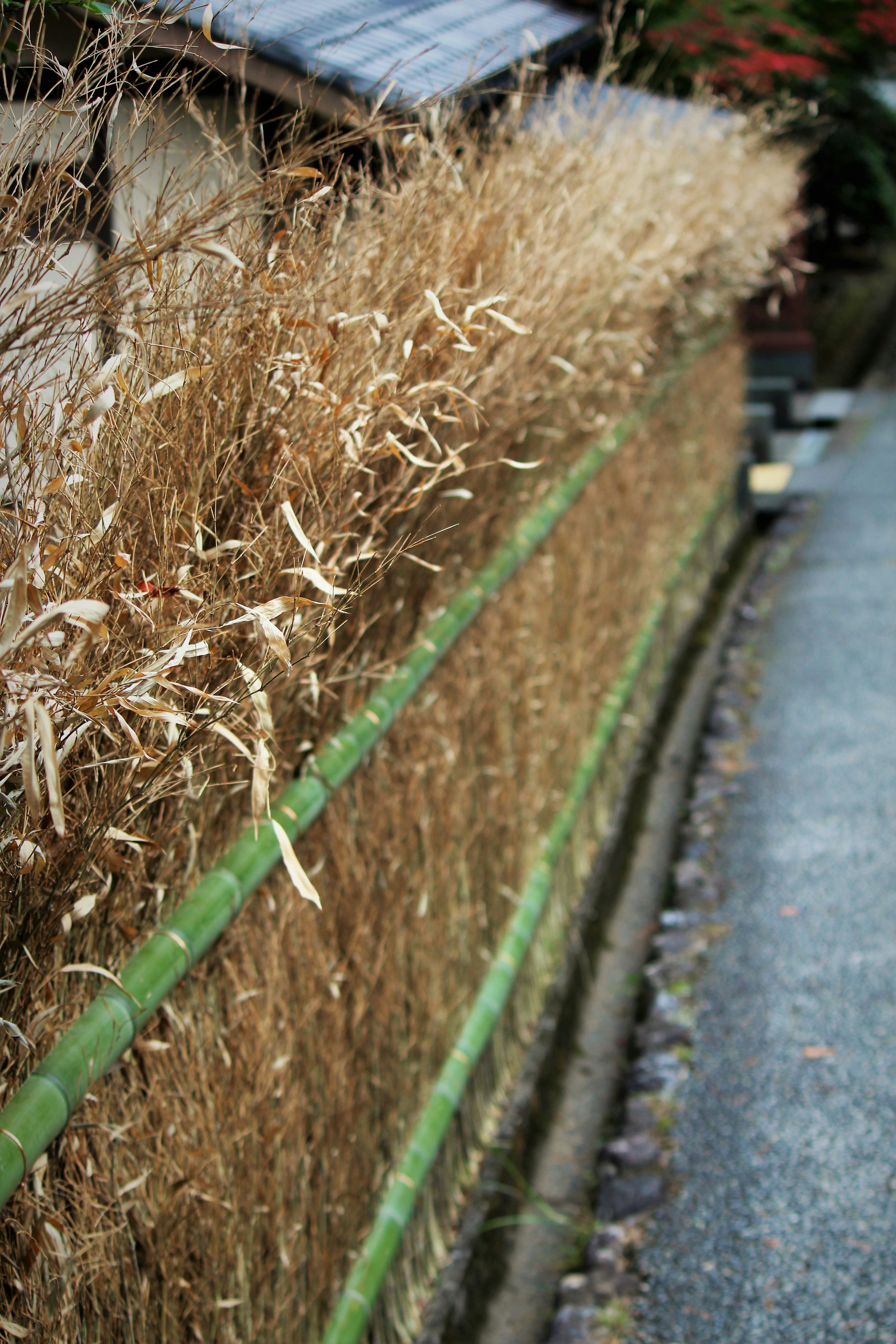 Pagar indah terbuat dari bambu dan rumput kering