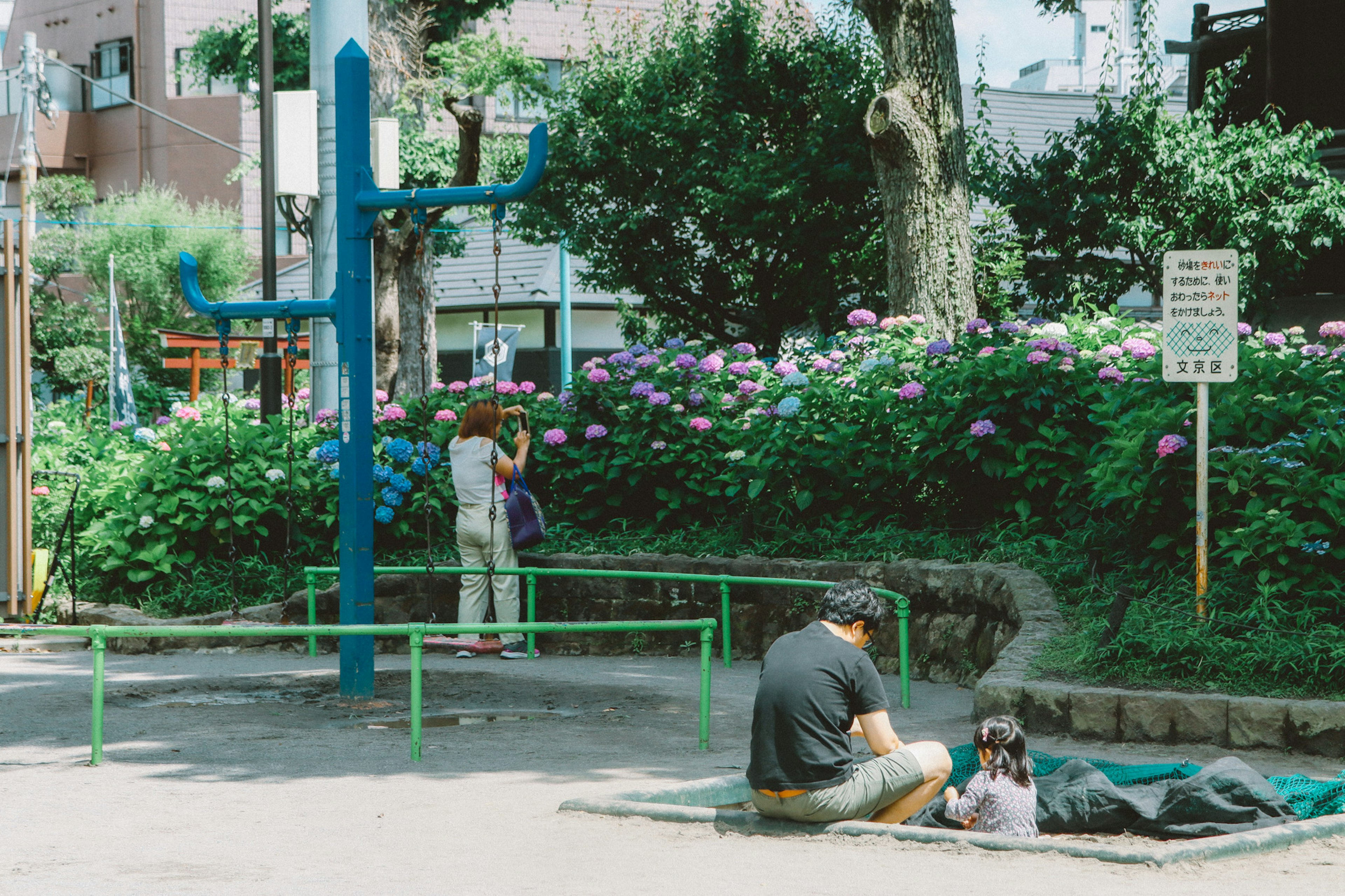 Scène d'un parc avec des enfants et des adultes profitant de l'environnement fleurs colorées en éclosion