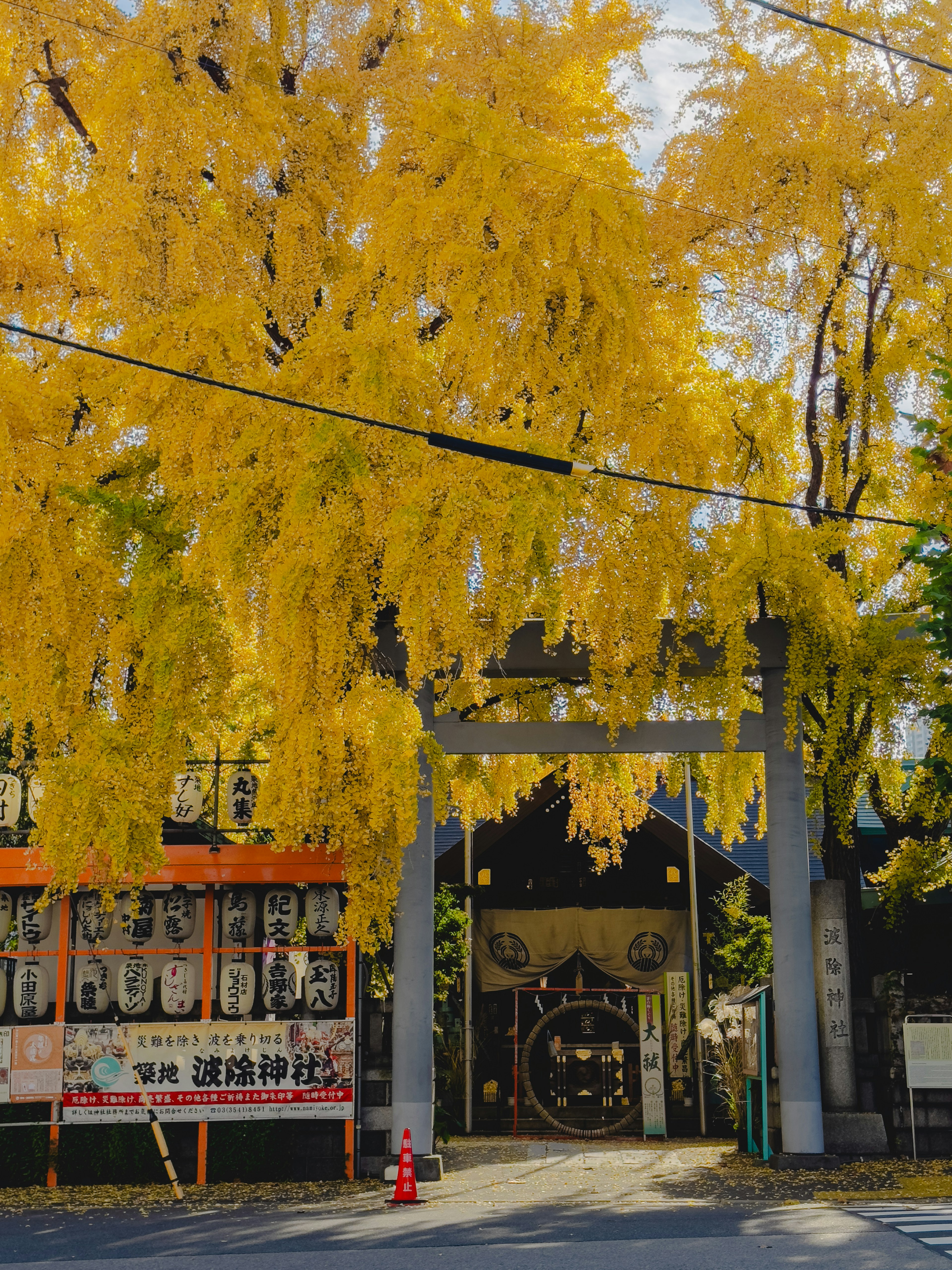 Vista escénica de la entrada de un santuario enmarcada por vibrantes árboles de ginkgo amarillos