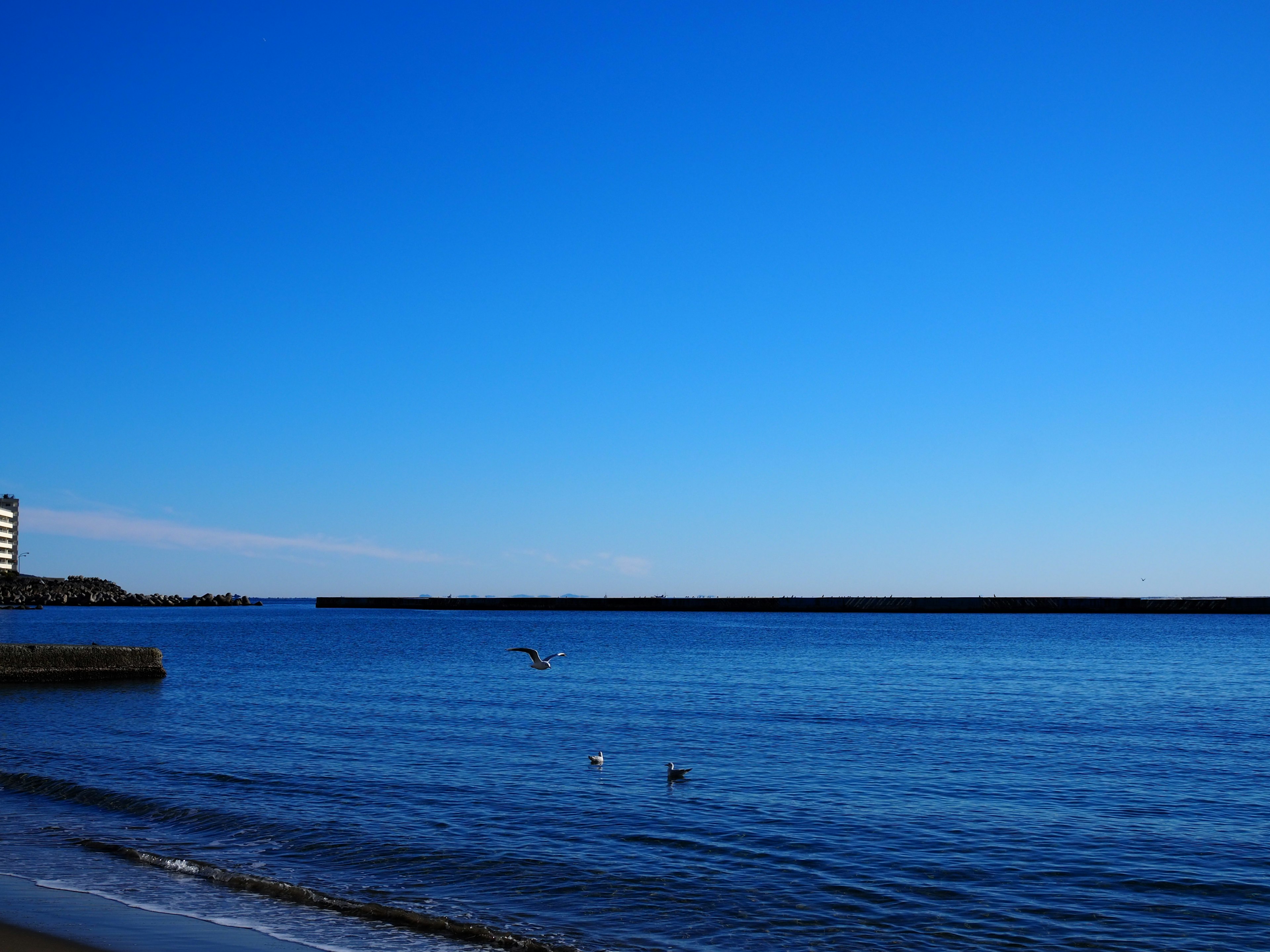 Vue panoramique d'un ciel bleu clair sur une mer calme