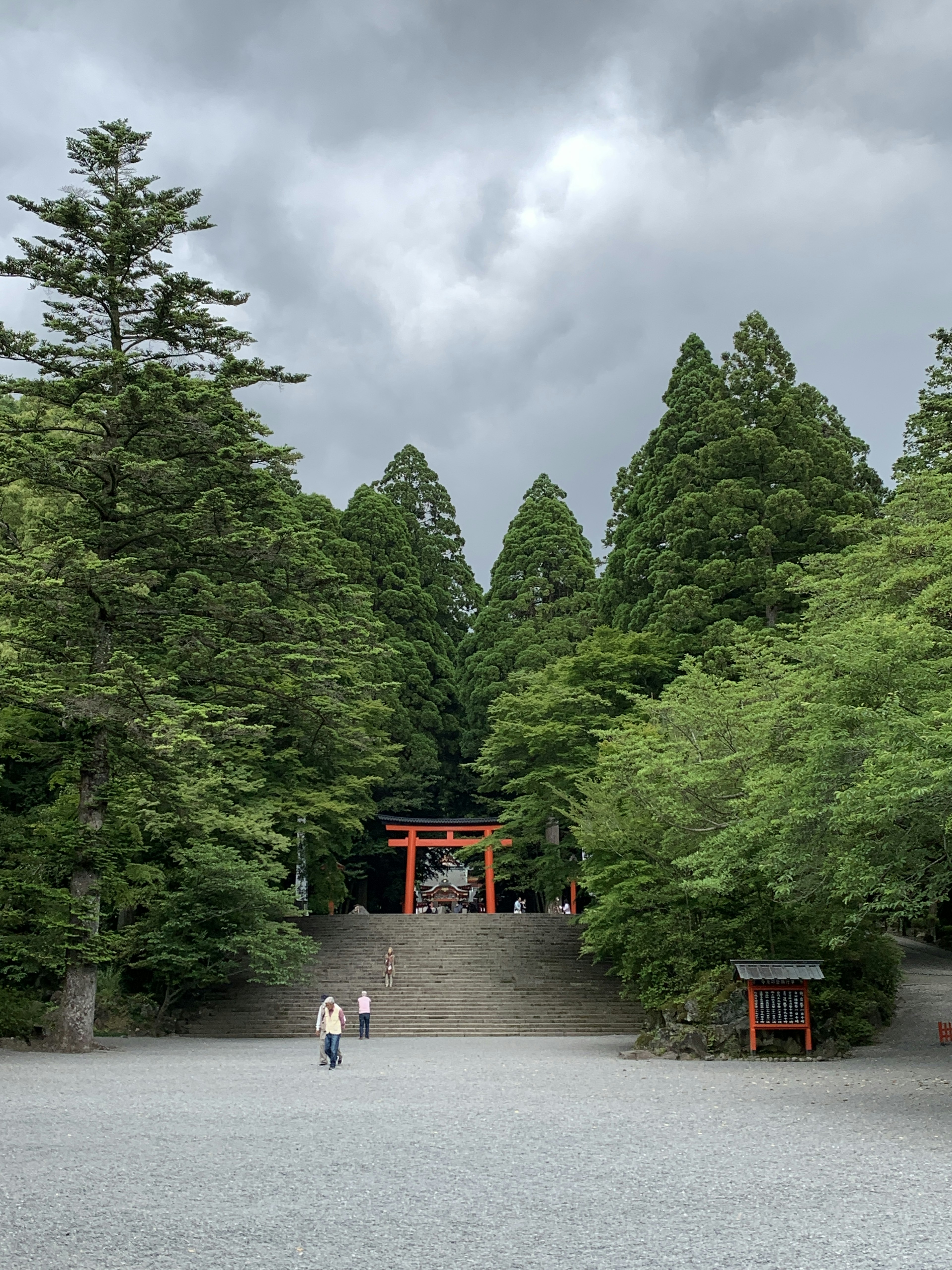 被郁郁蔥蔥的樹木和石階環繞的神社門的風景