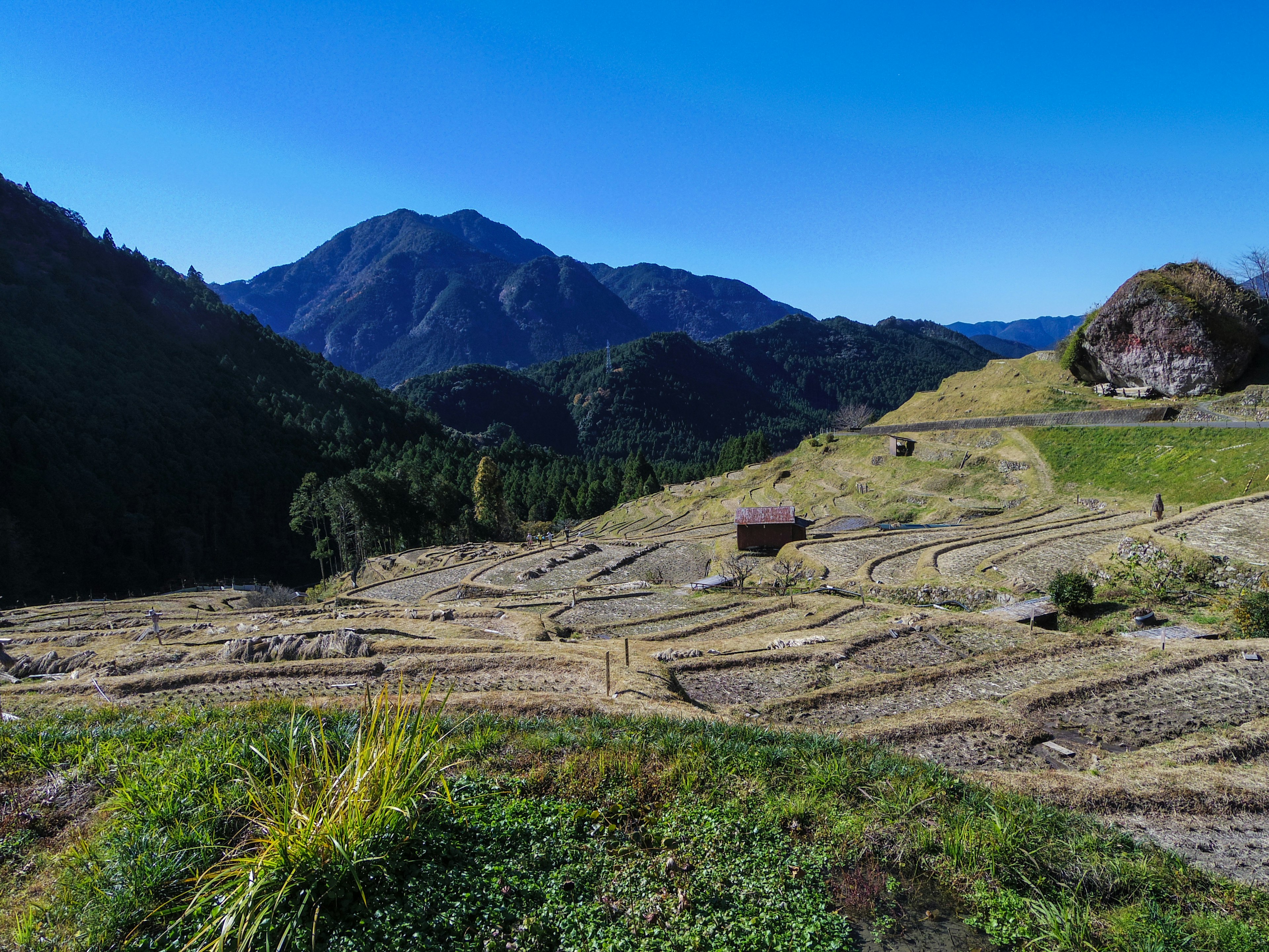 美しい山々を背景にした棚田風景