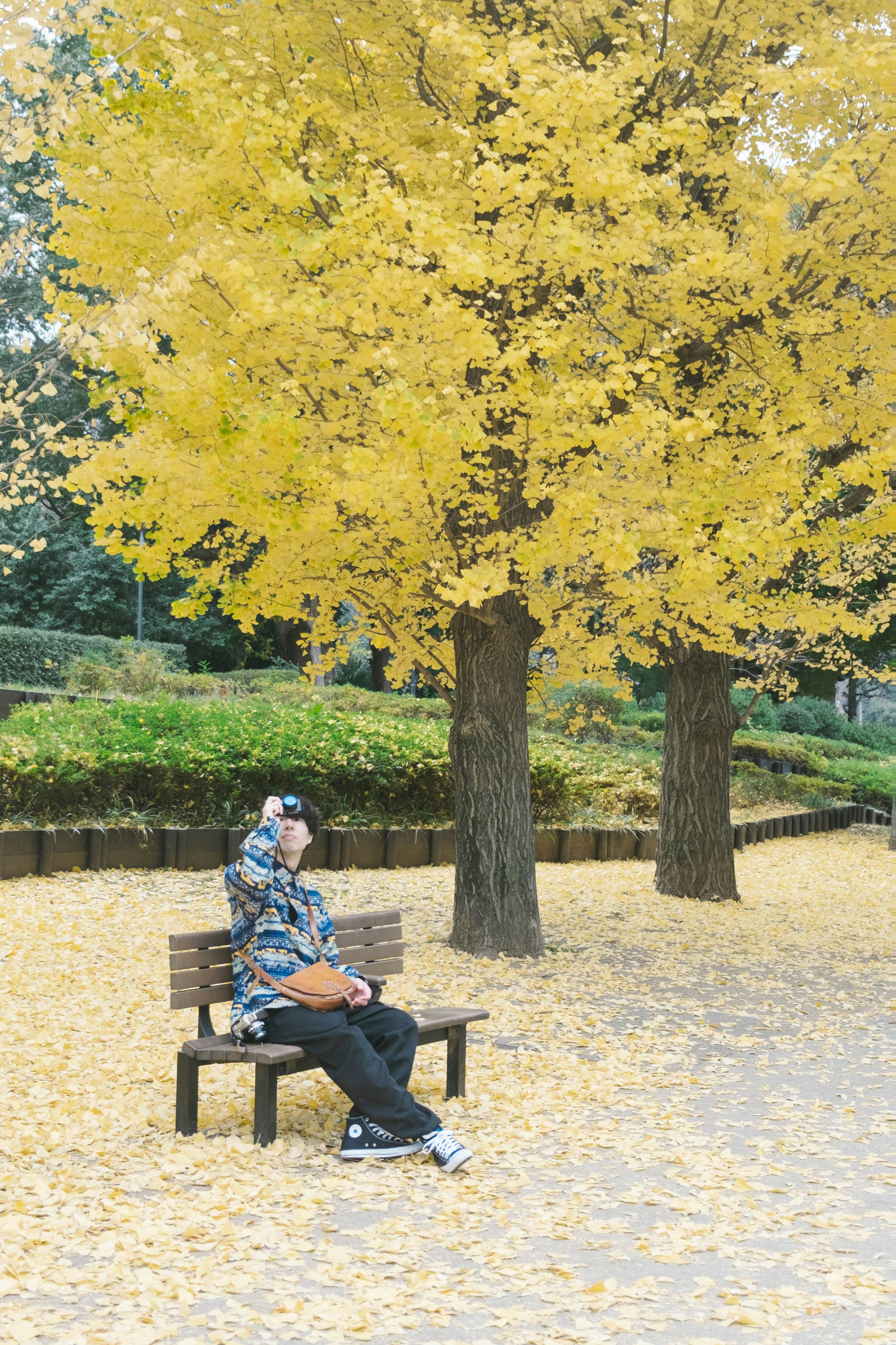 Un homme assis sur un banc dans un parc entouré de feuilles jaunes