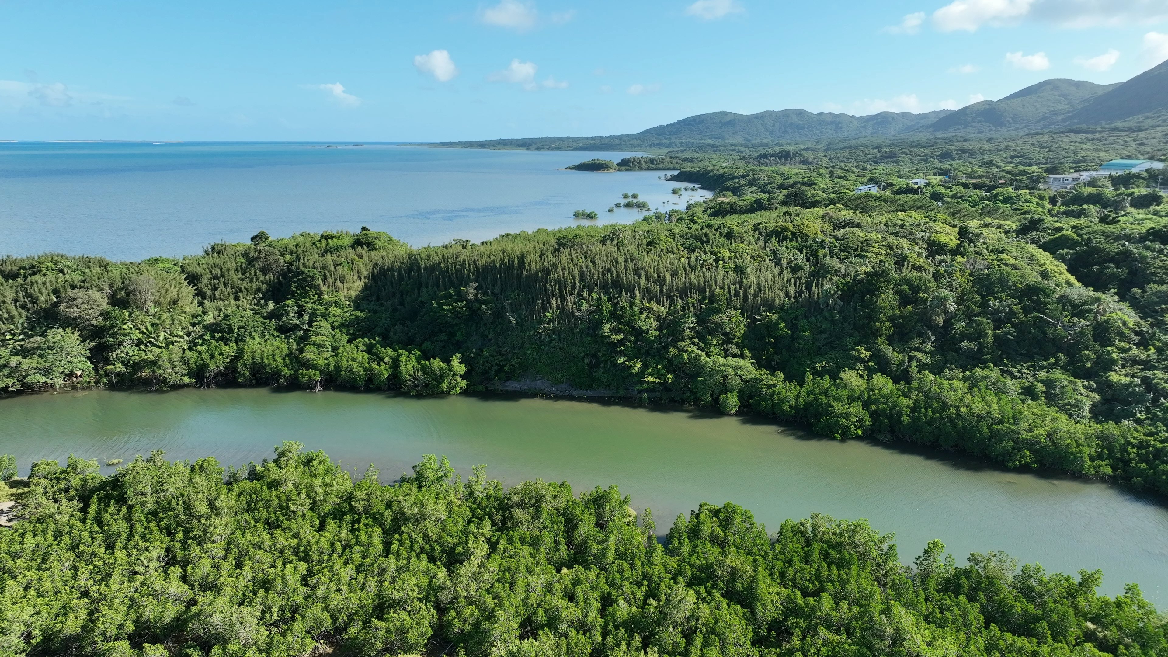 A scenic view of blue waters and lush mangroves in a natural landscape