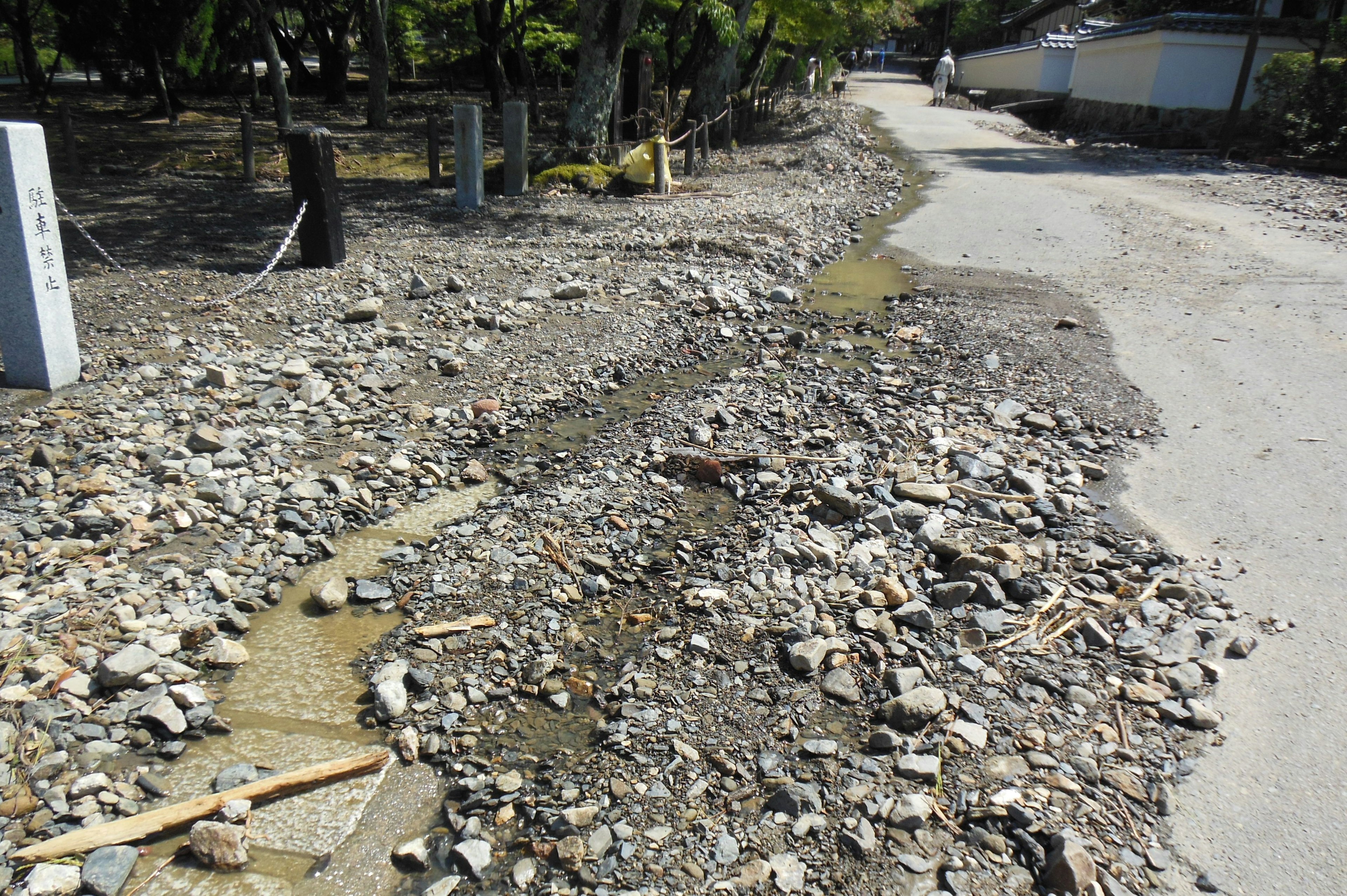 Scenic view of a roadside with scattered stones and wood debris