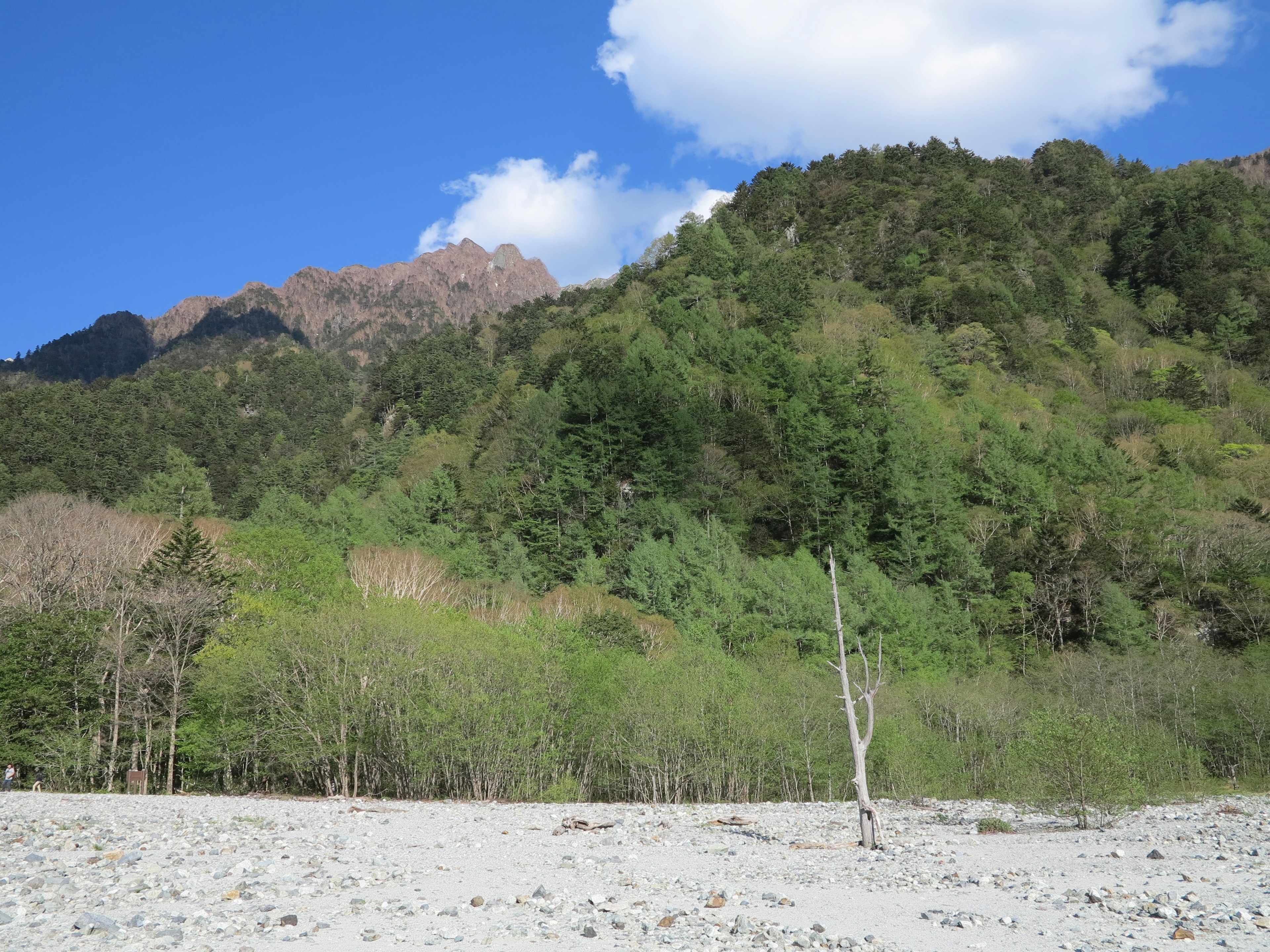 Vista panoramica di montagne verdi e letto di fiume sotto un cielo blu con nuvole bianche