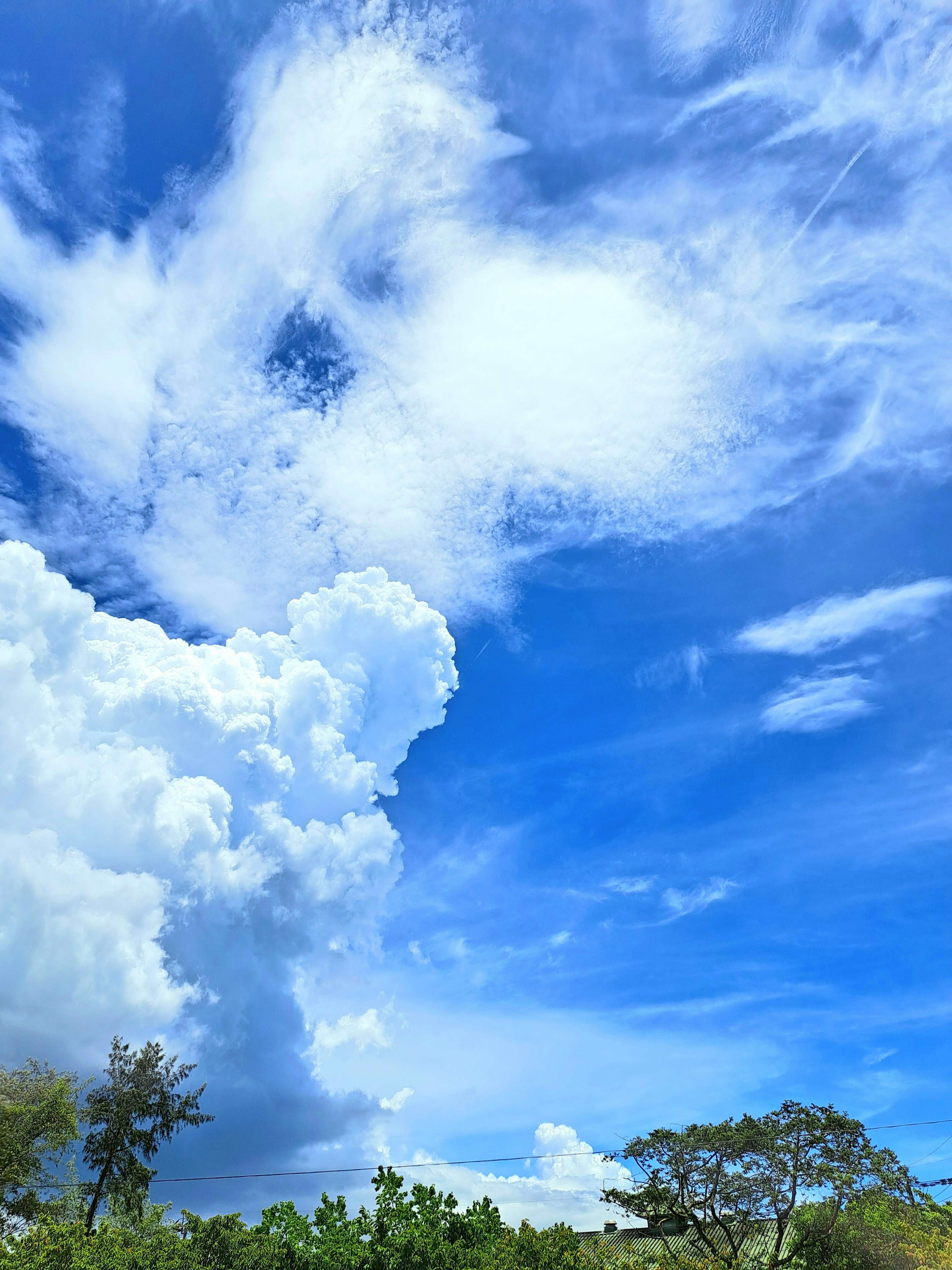 A landscape featuring white clouds in a blue sky with green trees