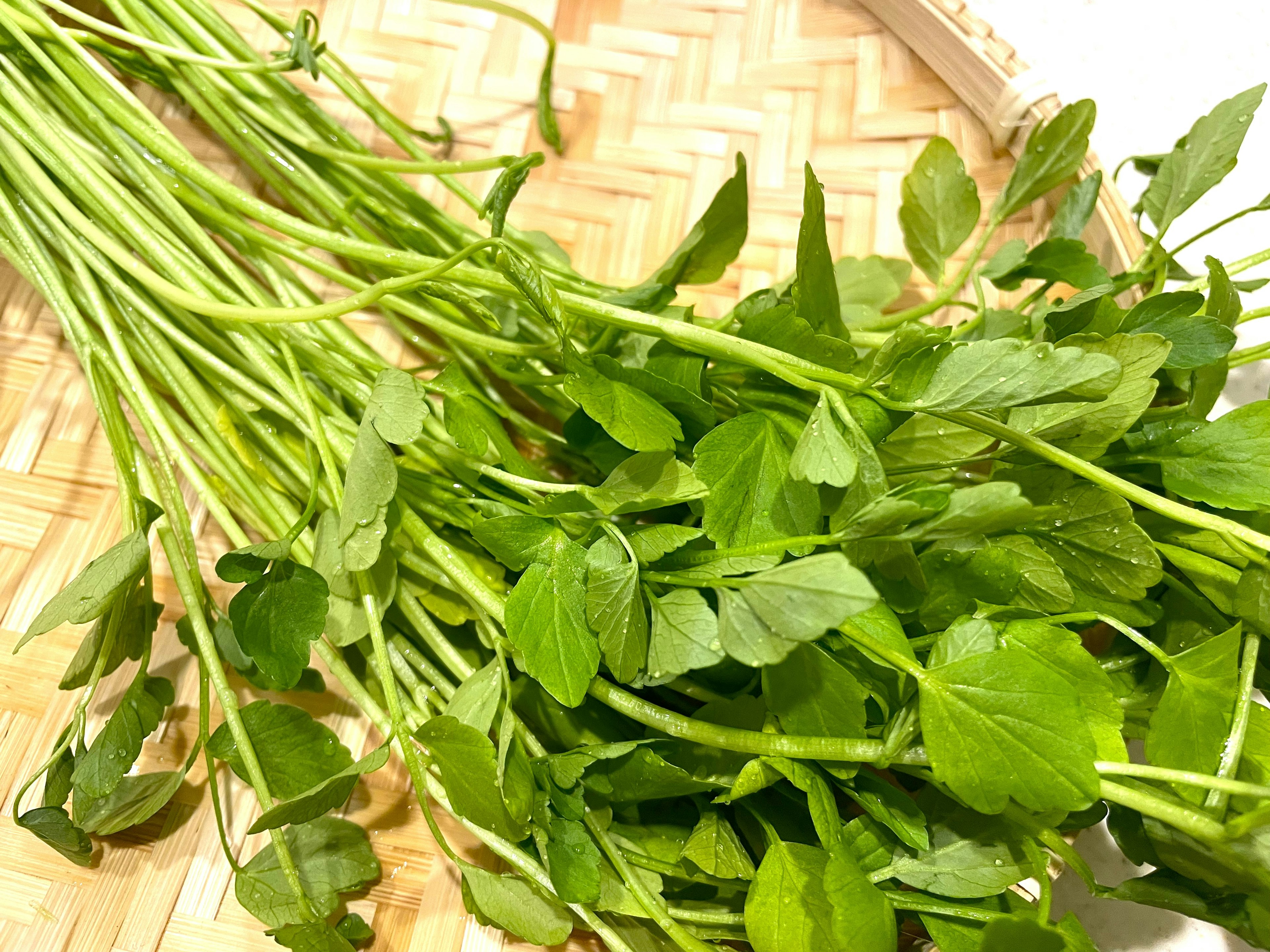 A bunch of fresh herbs placed on a woven basket