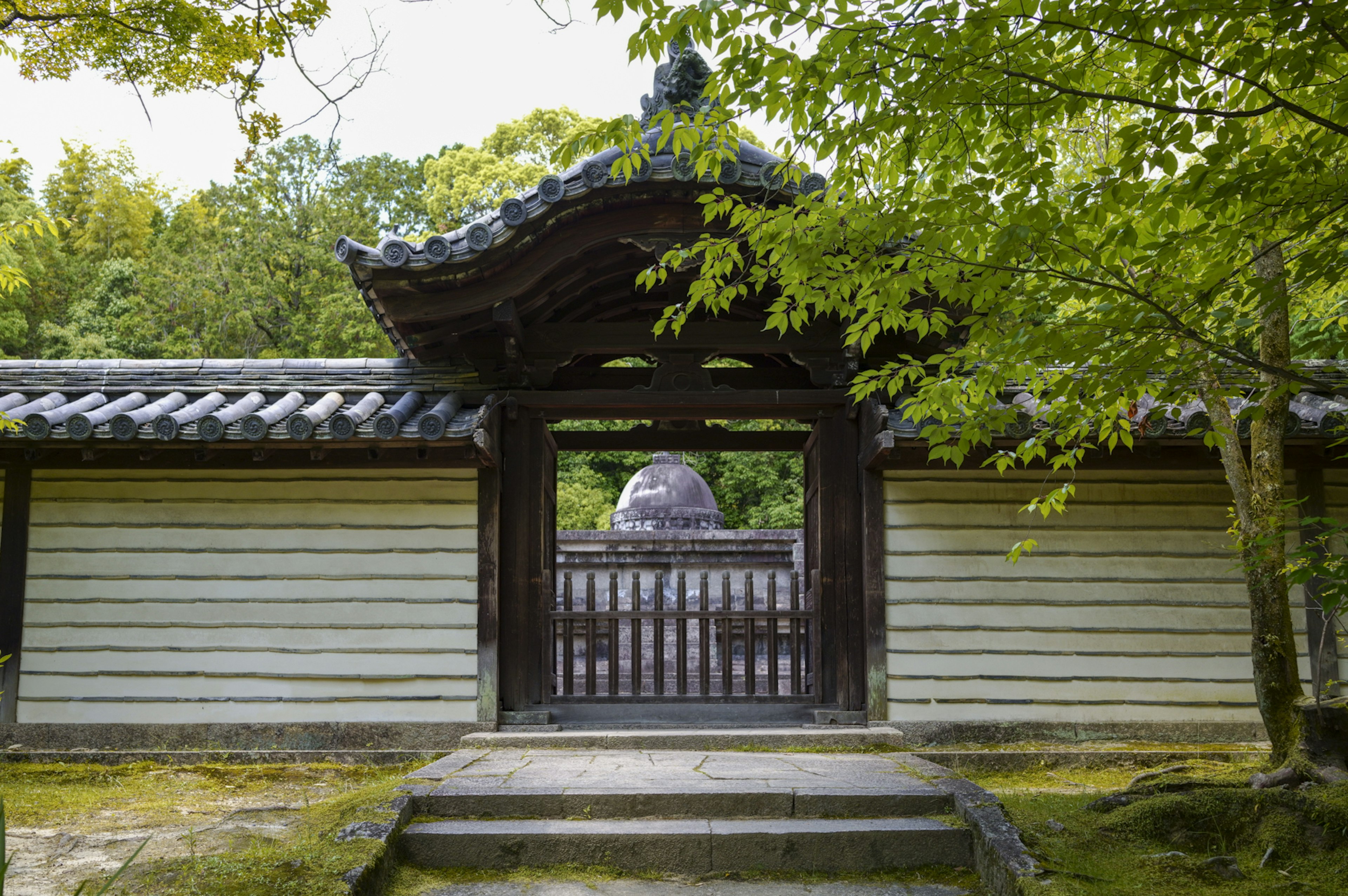 Hermosa puerta de jardín japonés rodeada de árboles verdes y arquitectura tradicional