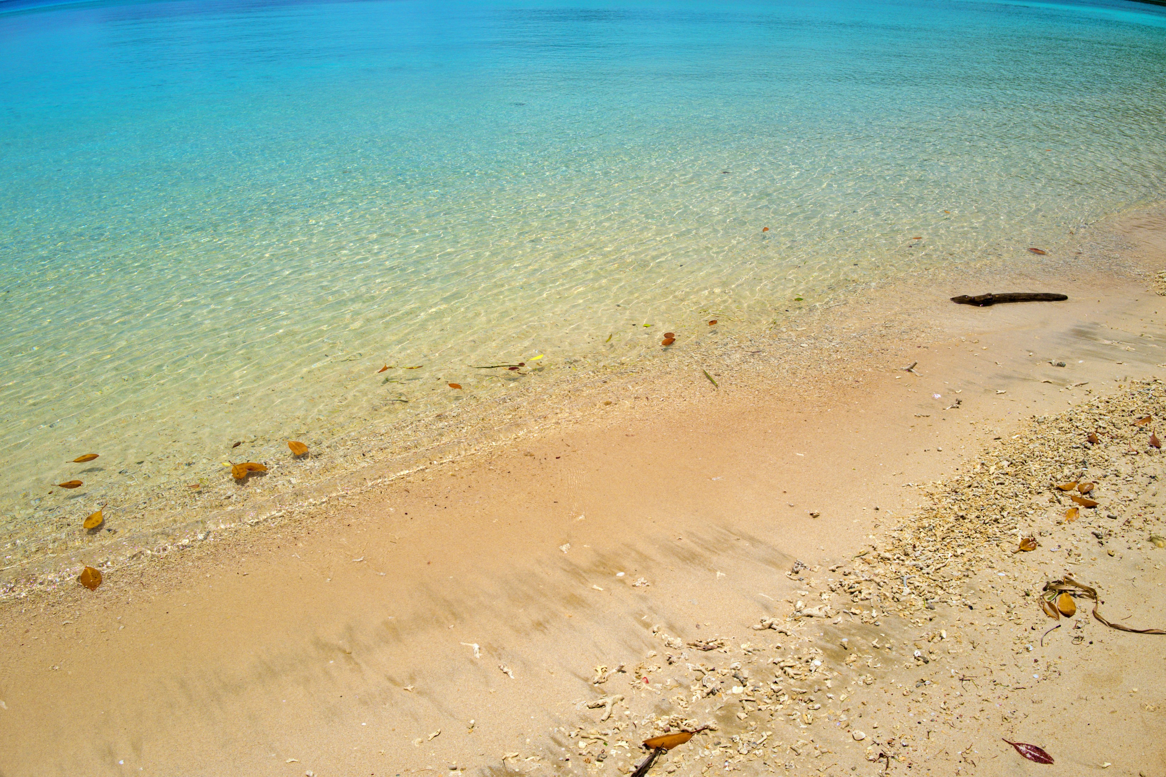 Agua turquesa clara que se encuentra con una playa de arena