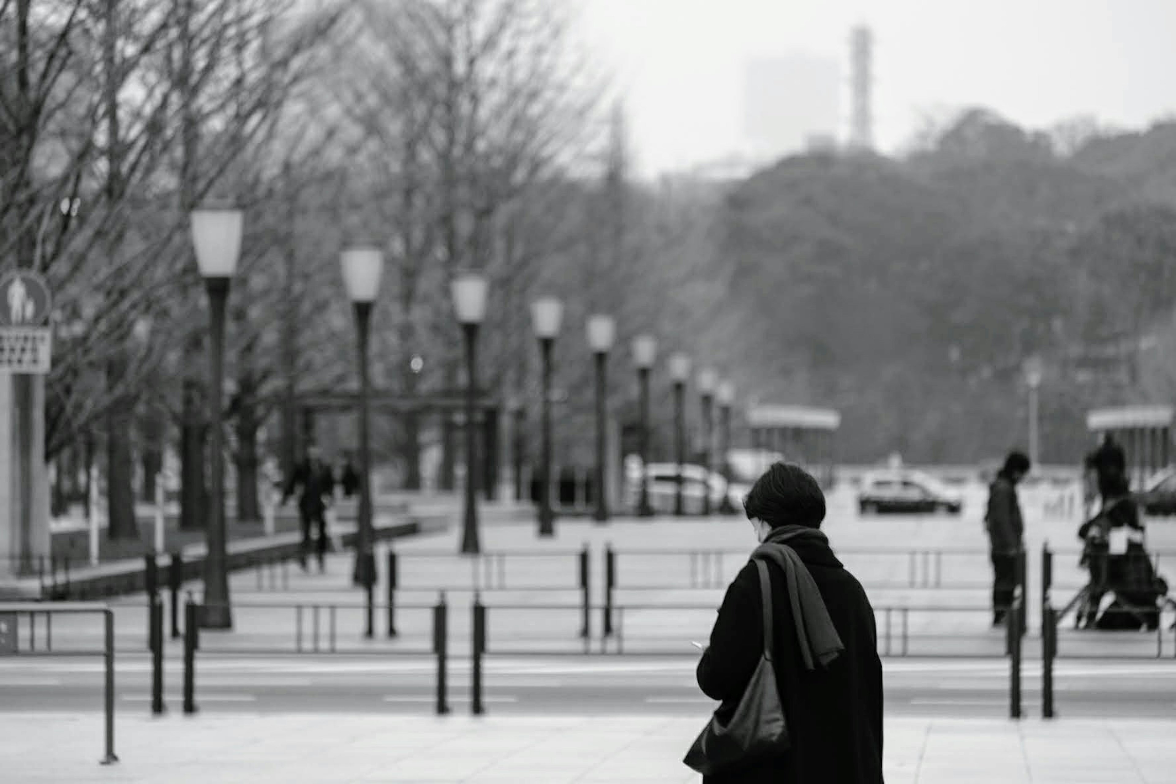 冬の街を歩く人のモノクロ写真街灯と木々が並ぶ風景