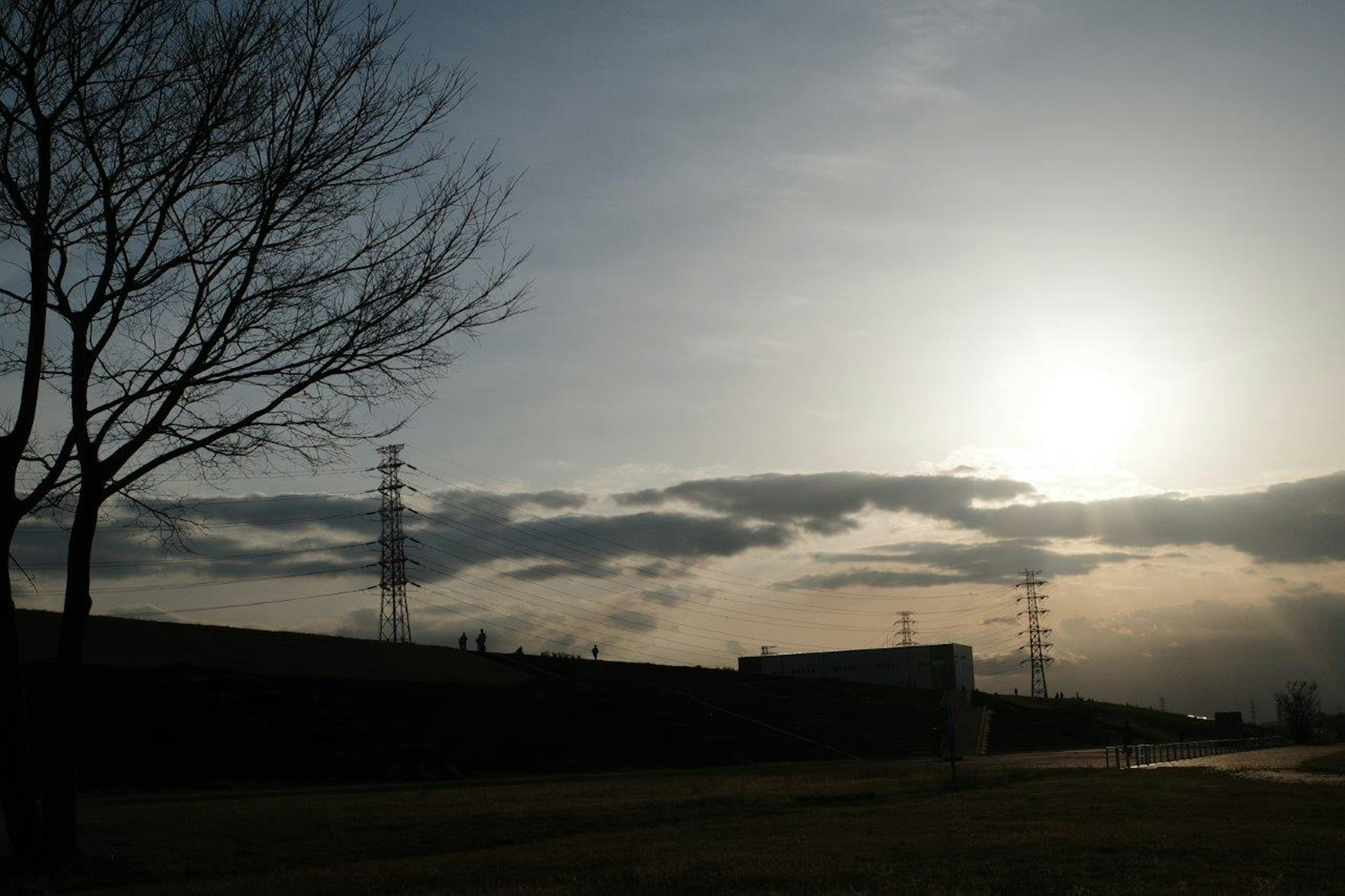 Silhouette of a factory and power poles at dusk