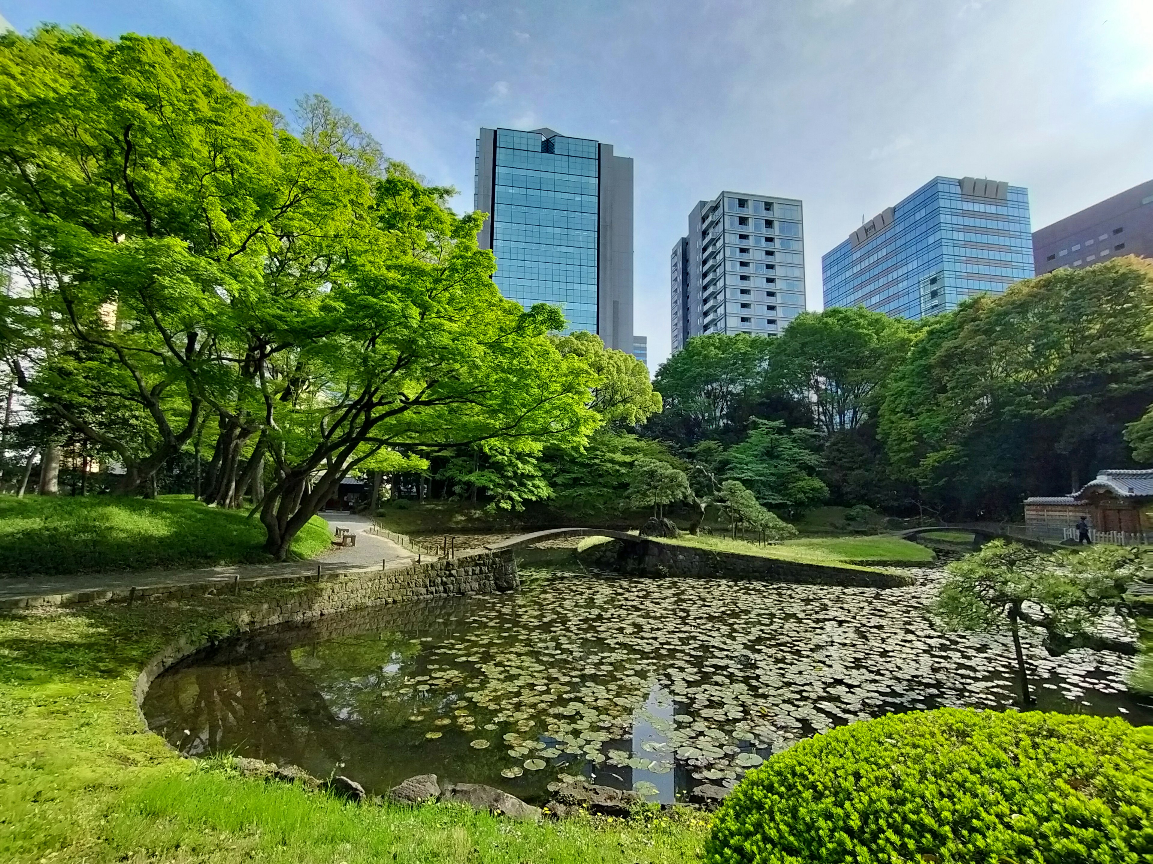 高層ビルと緑の木々に囲まれた静かな池の風景