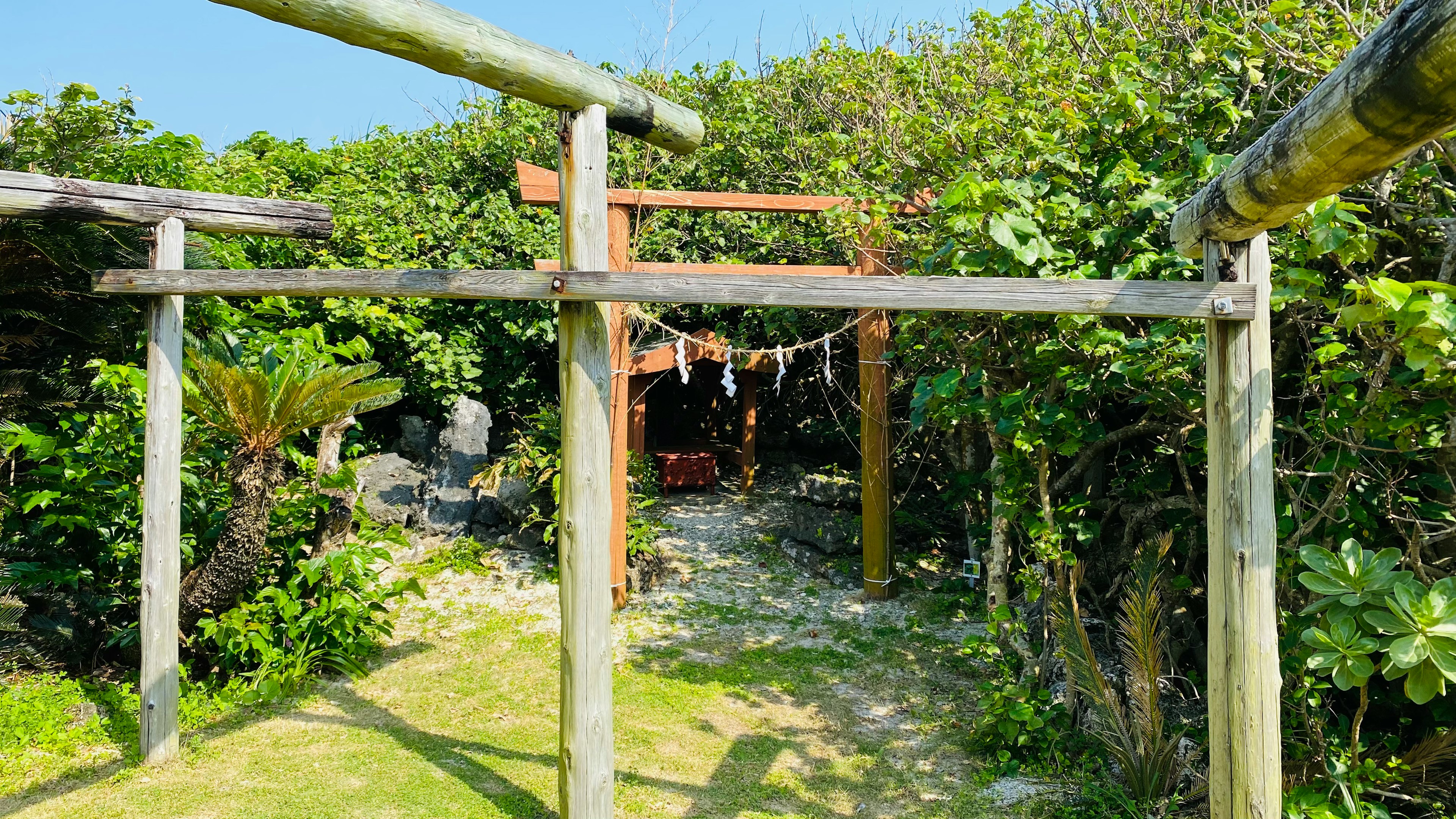 Arco de madera que conduce a un jardín exuberante con una pequeña cabaña al fondo