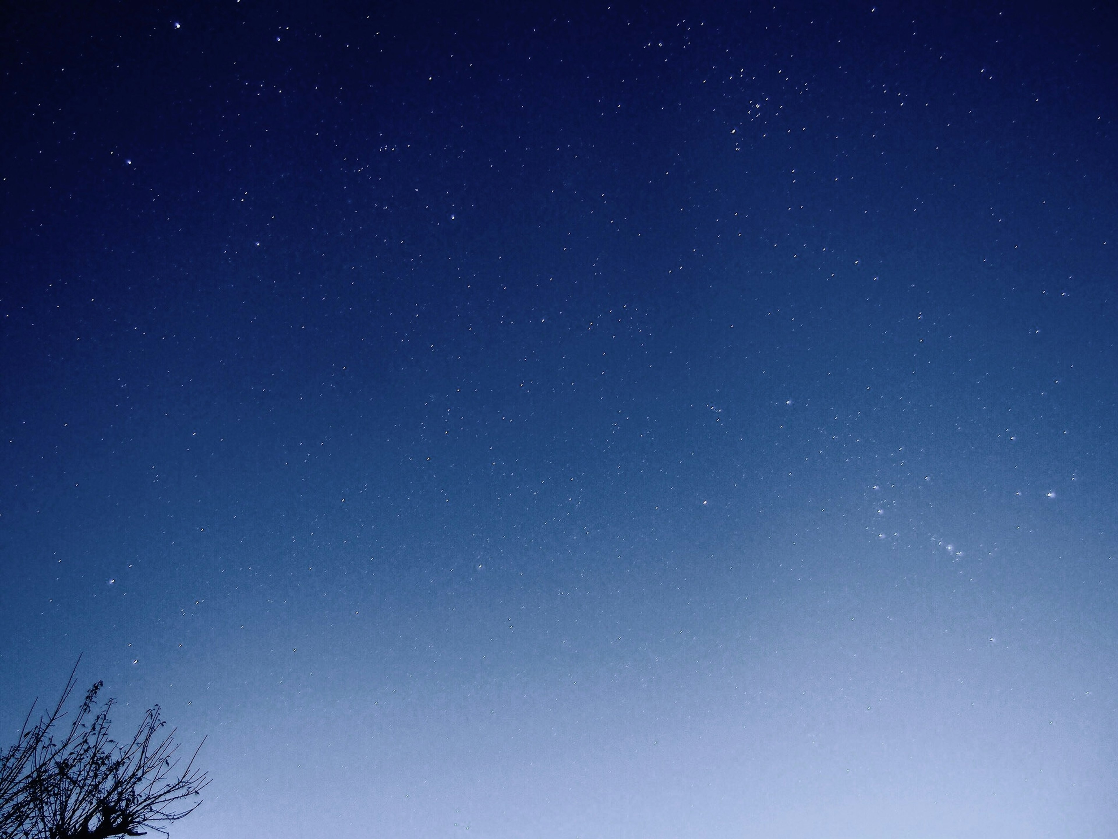 Ciel nocturne étoilé avec un dégradé de bleus