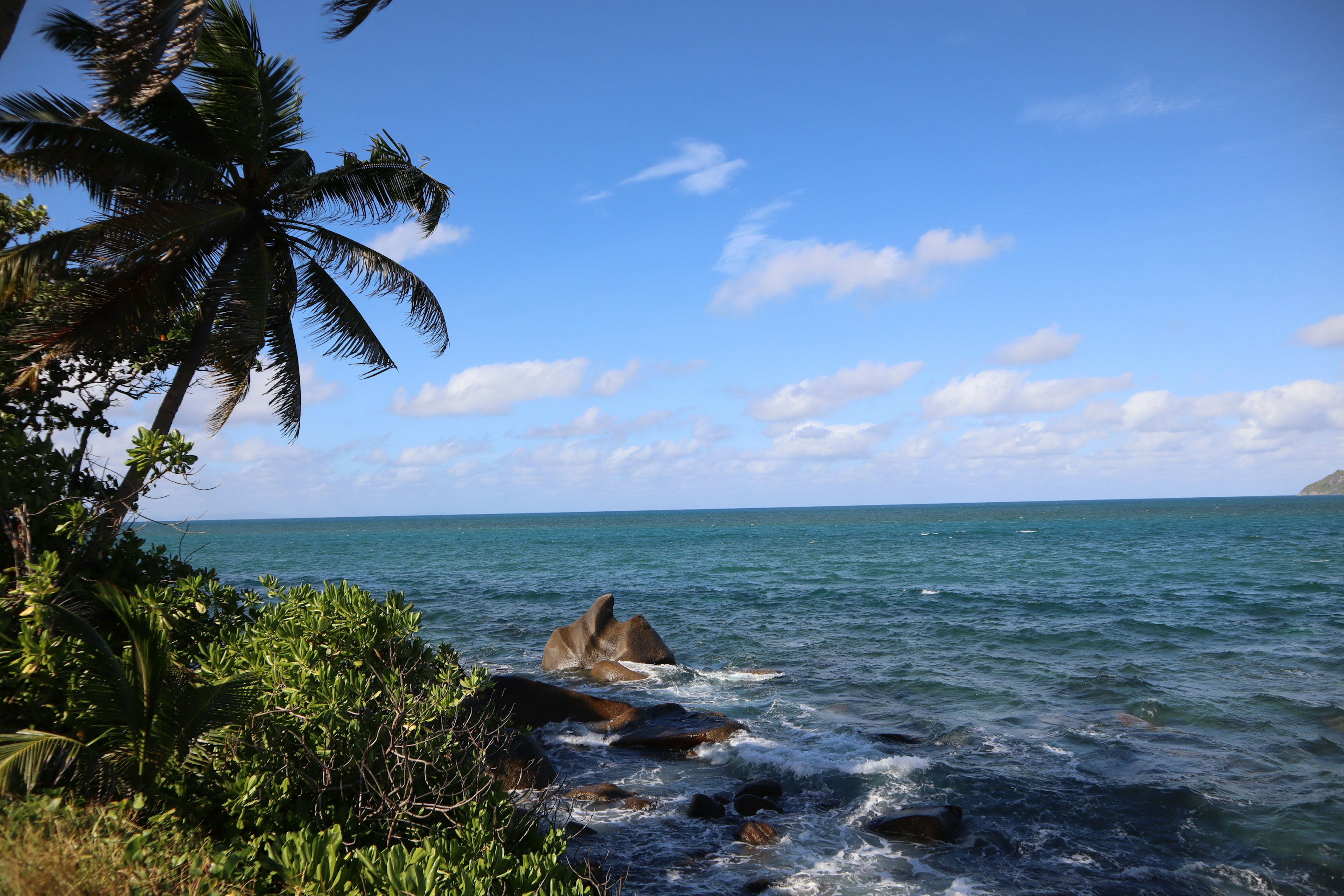 Scenic coastline with blue ocean and white clouds palm trees and rocks in view