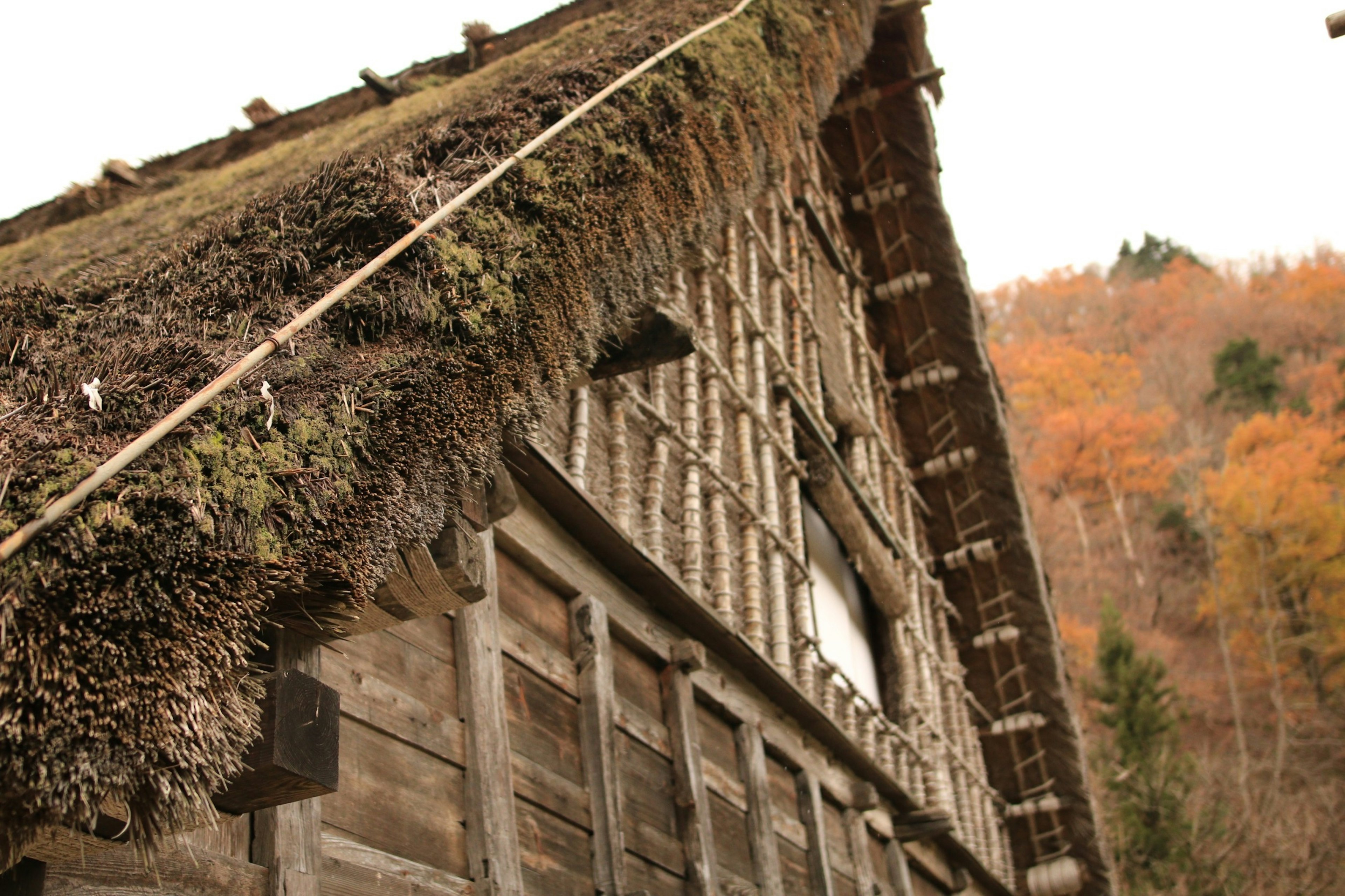 Detail of a traditional thatched roof house side with autumn landscape in the background