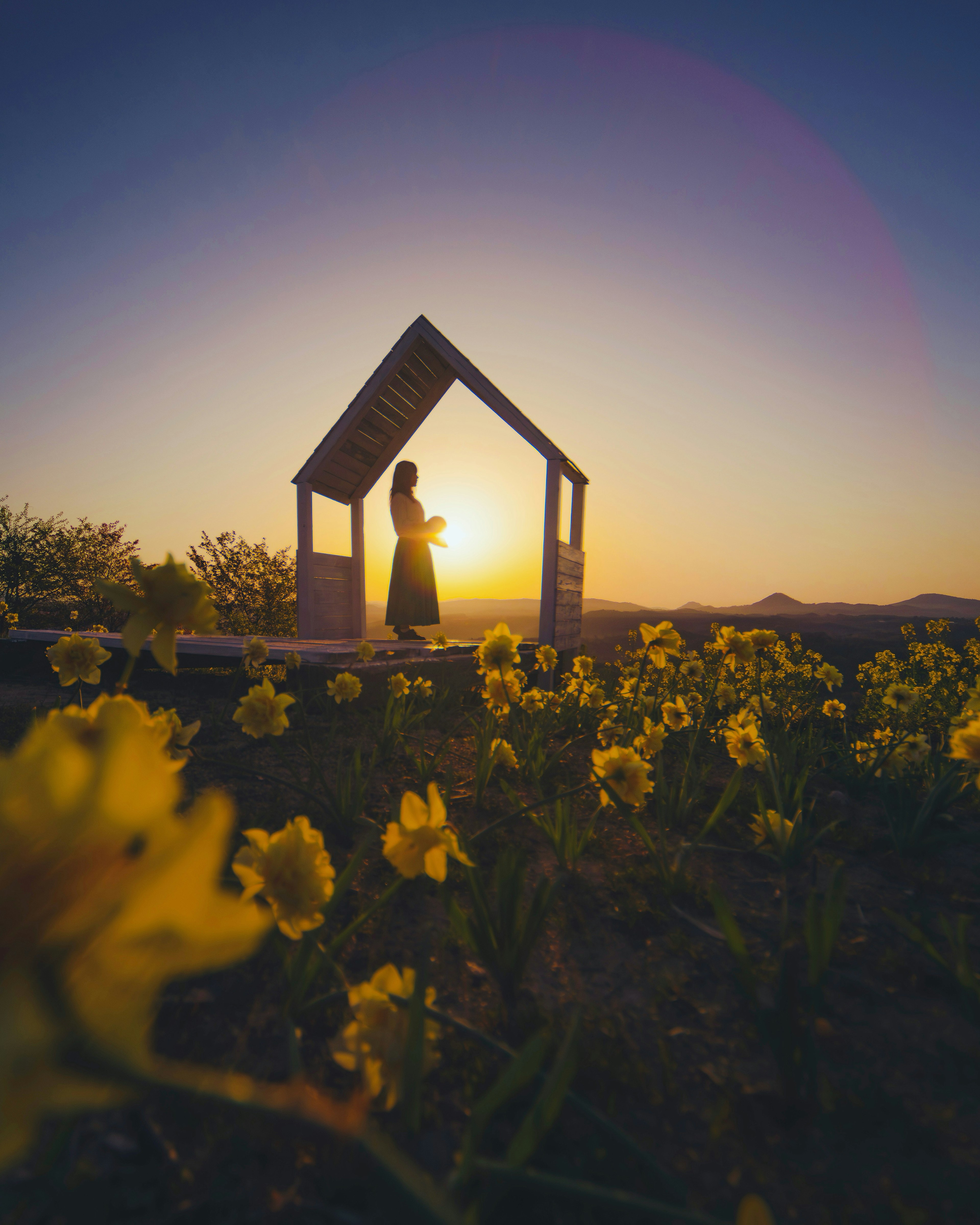 Silueta de una persona de pie en un campo de flores con el atardecer de fondo