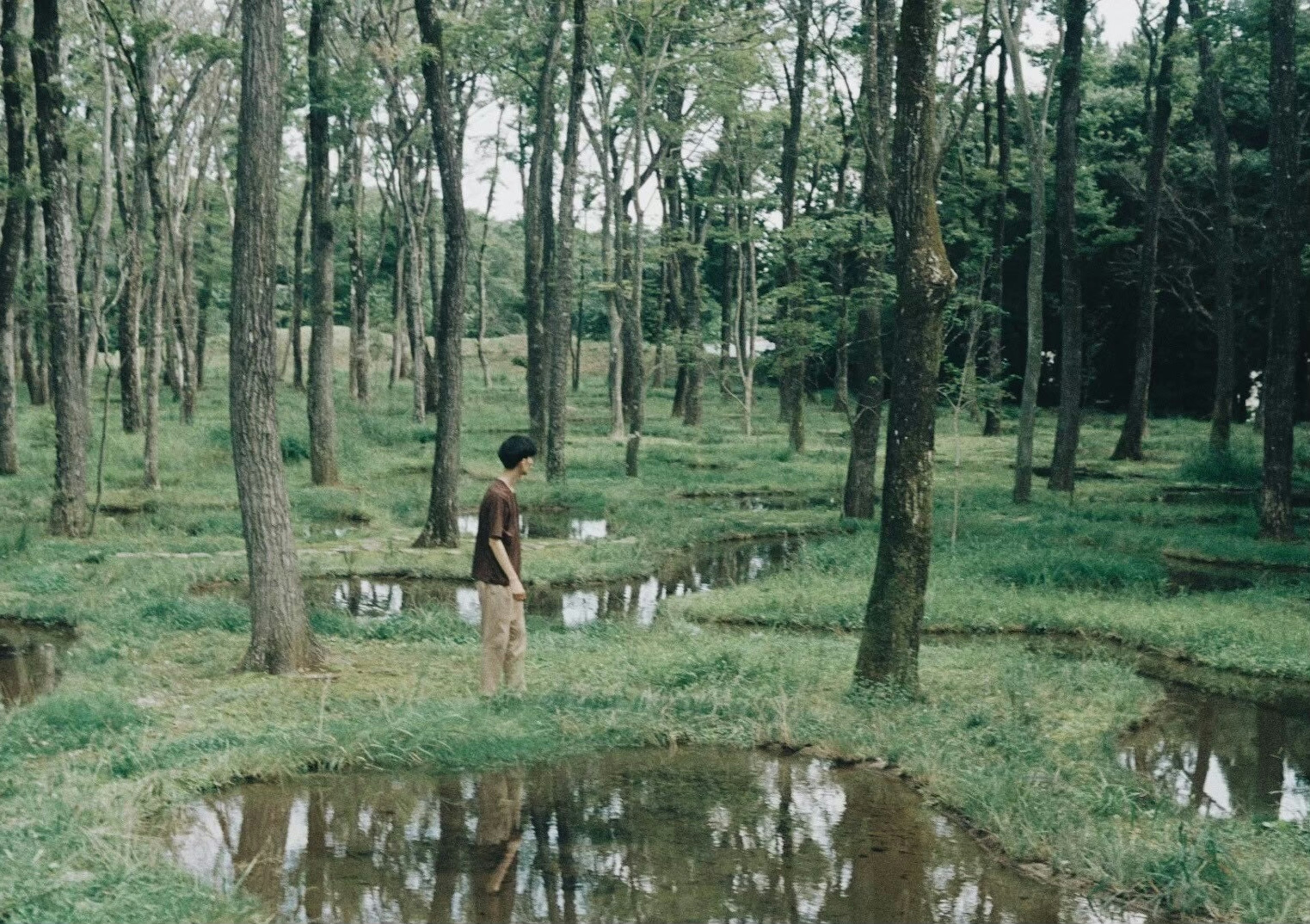 Person standing in a lush forest with puddles on the ground