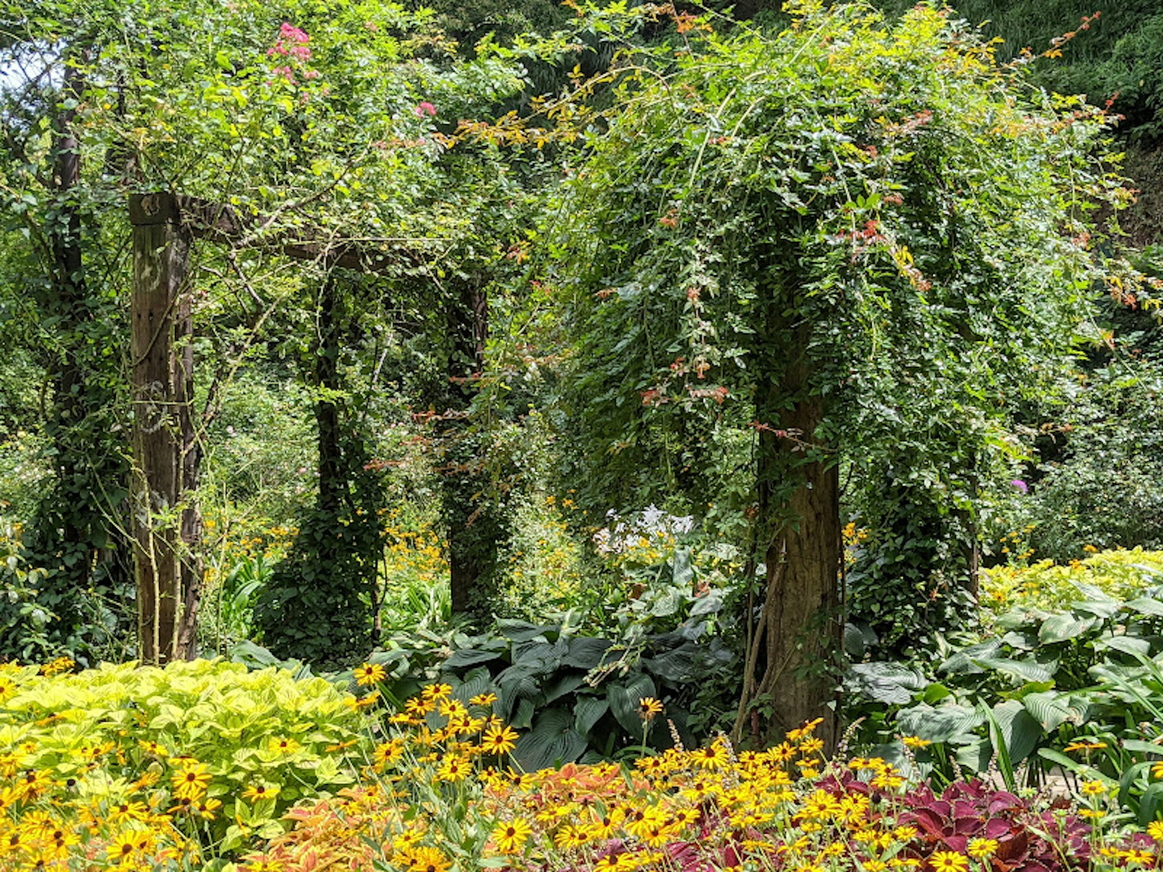 Üppige Gartenszene mit gelben Blumen und grünen Bäumen