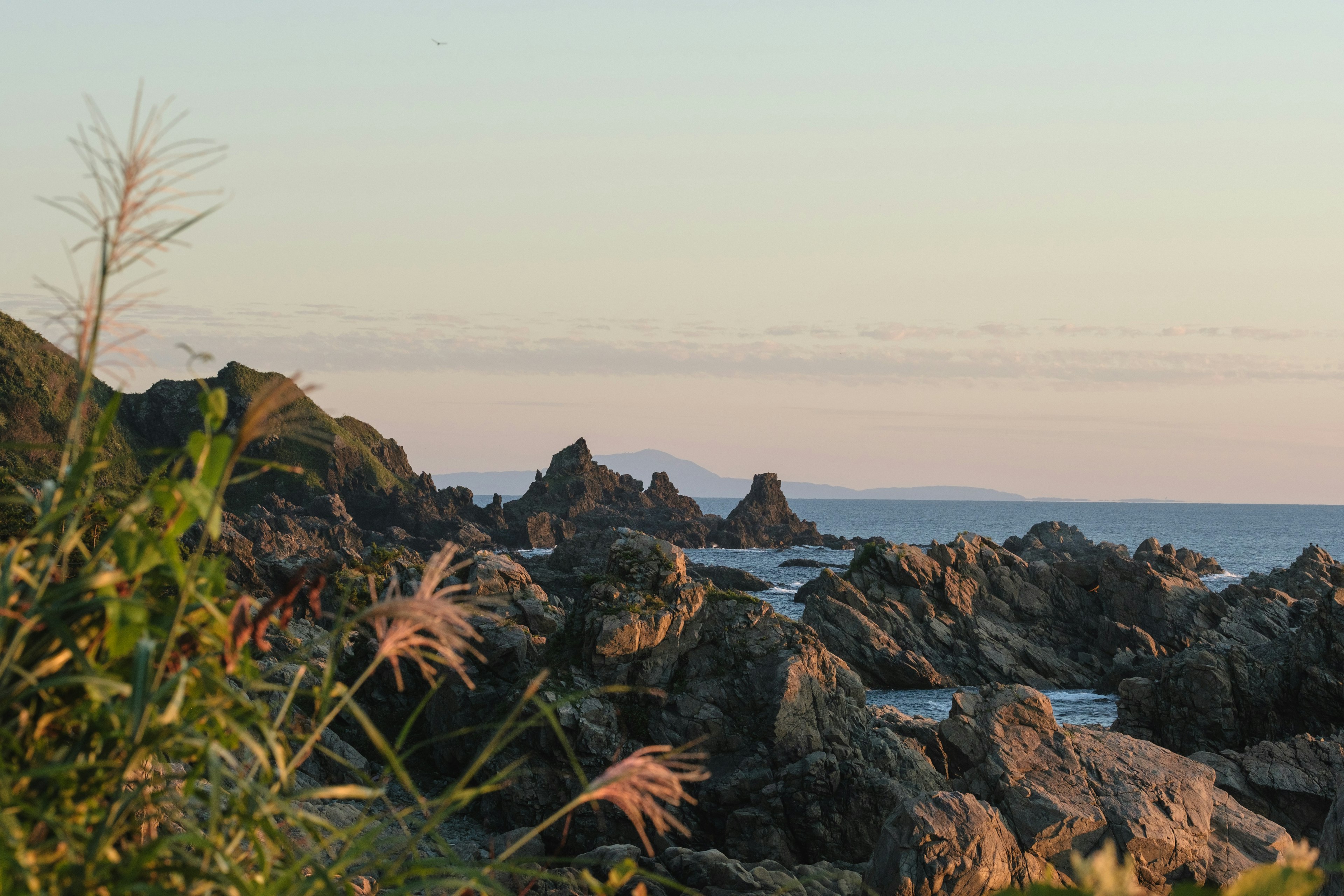 海と岩の風景、草の手前に見える夕暮れの景色