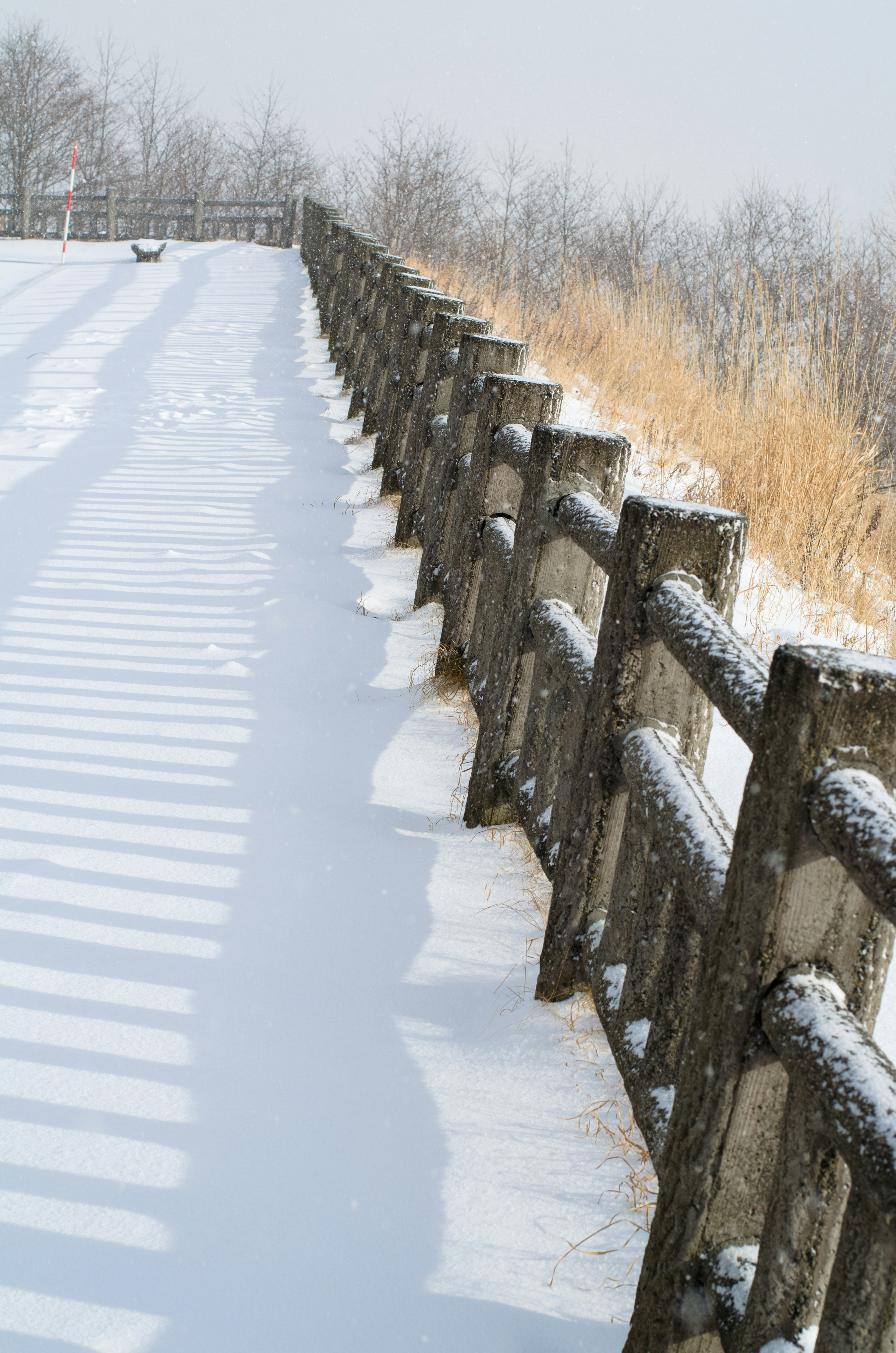 Snow-covered pathway with wooden fence in winter