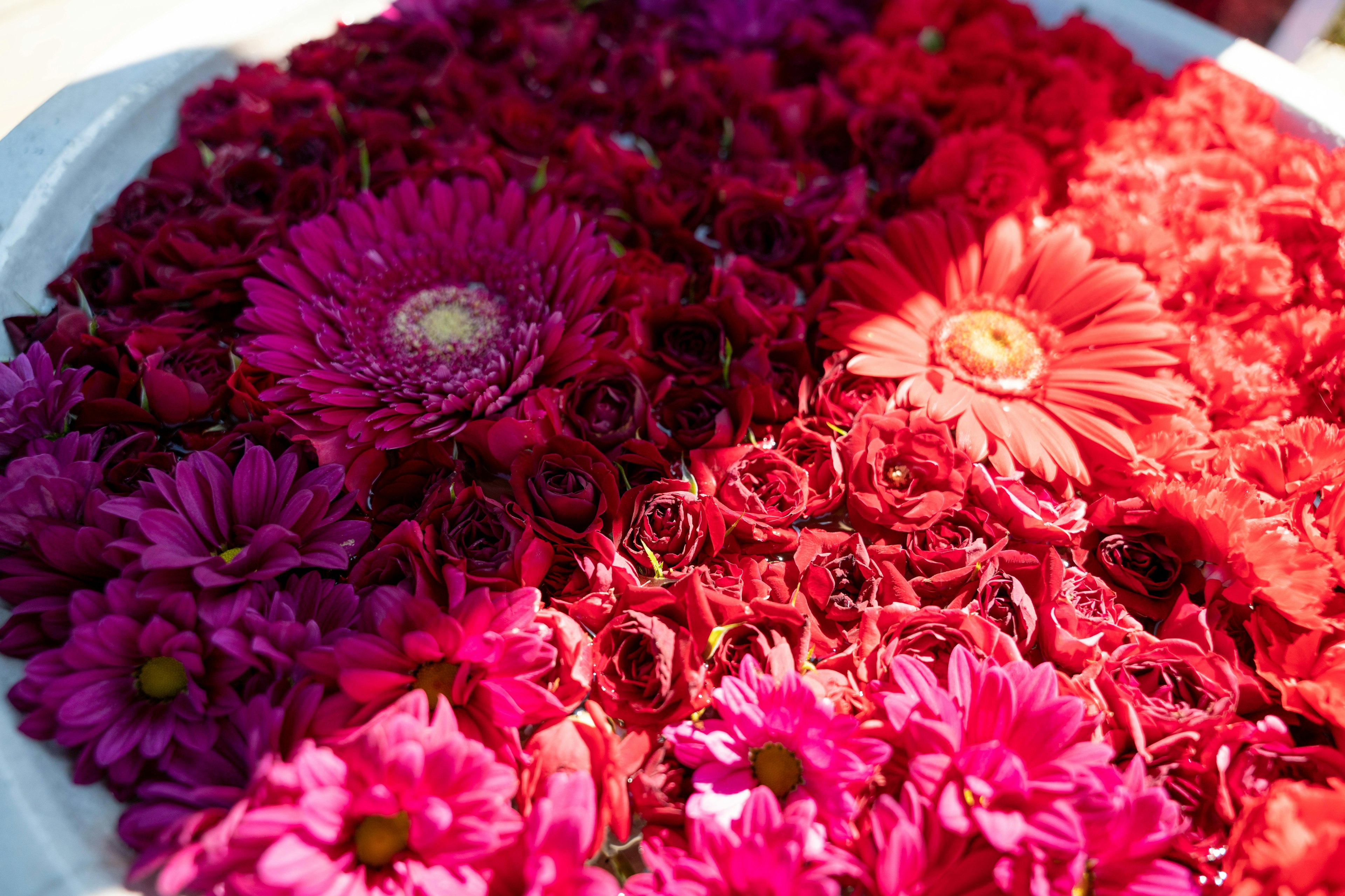 Vibrant floral arrangement featuring various shades of pink and red flowers