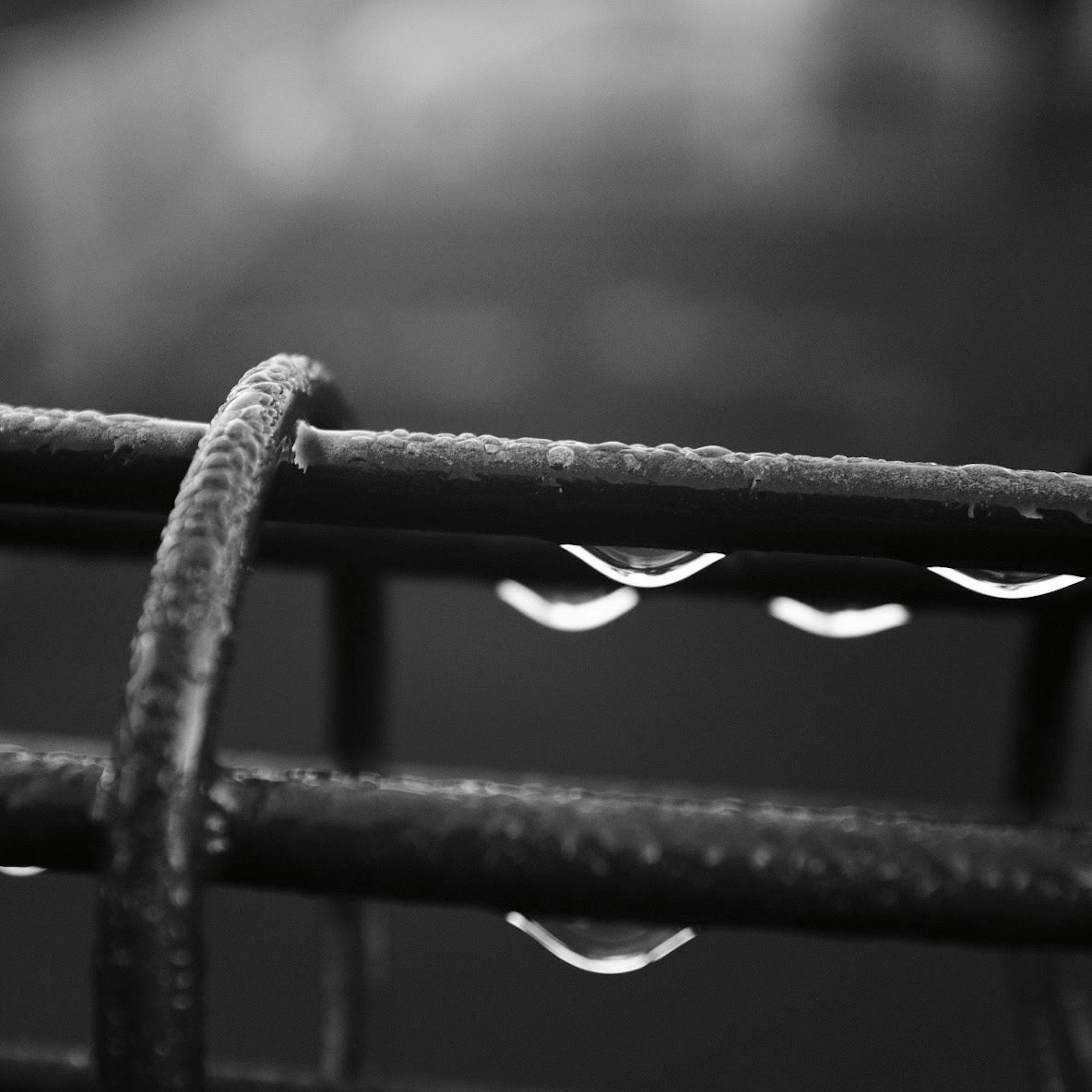 Primo piano di gocce d'acqua su una recinzione in metallo nero